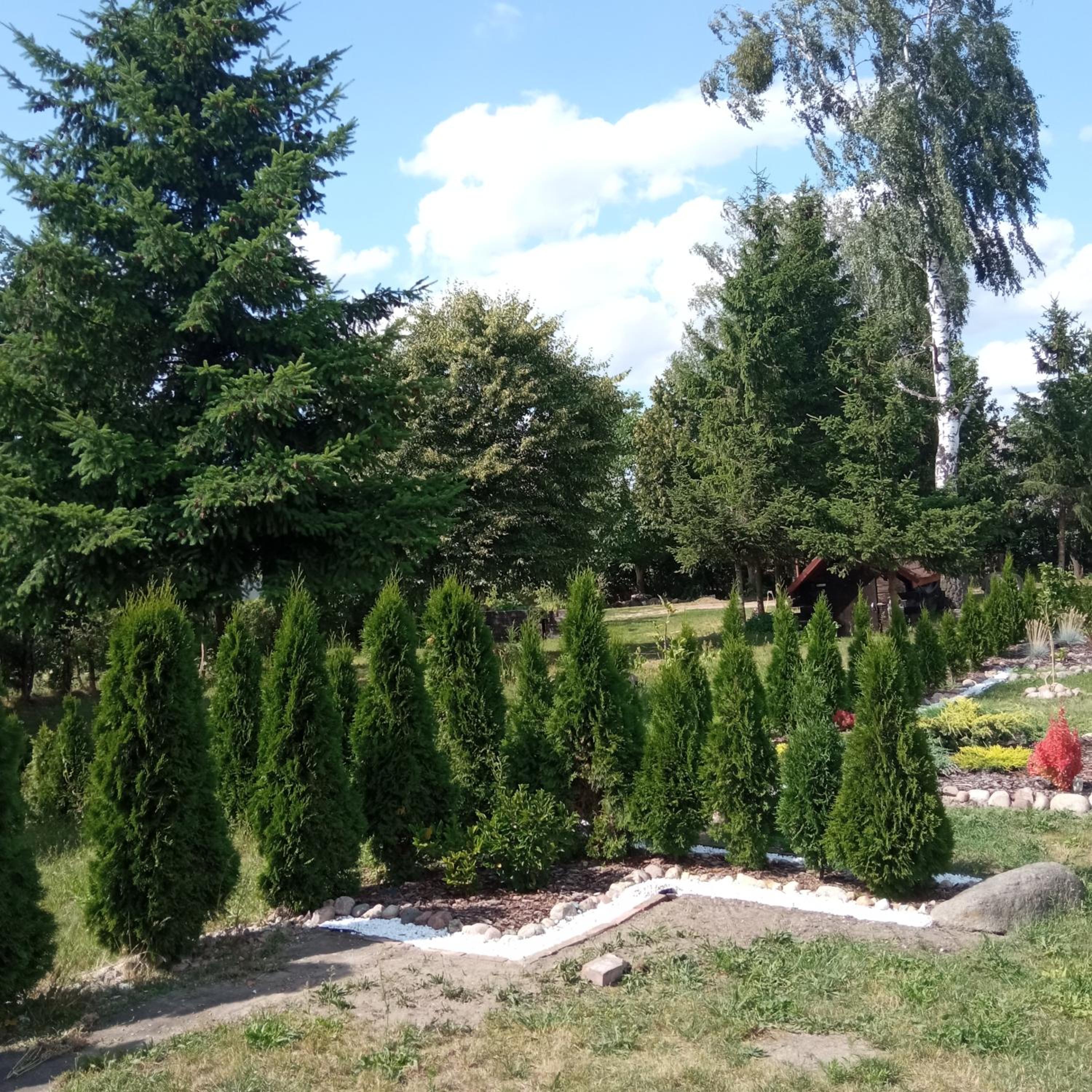 Photo 39