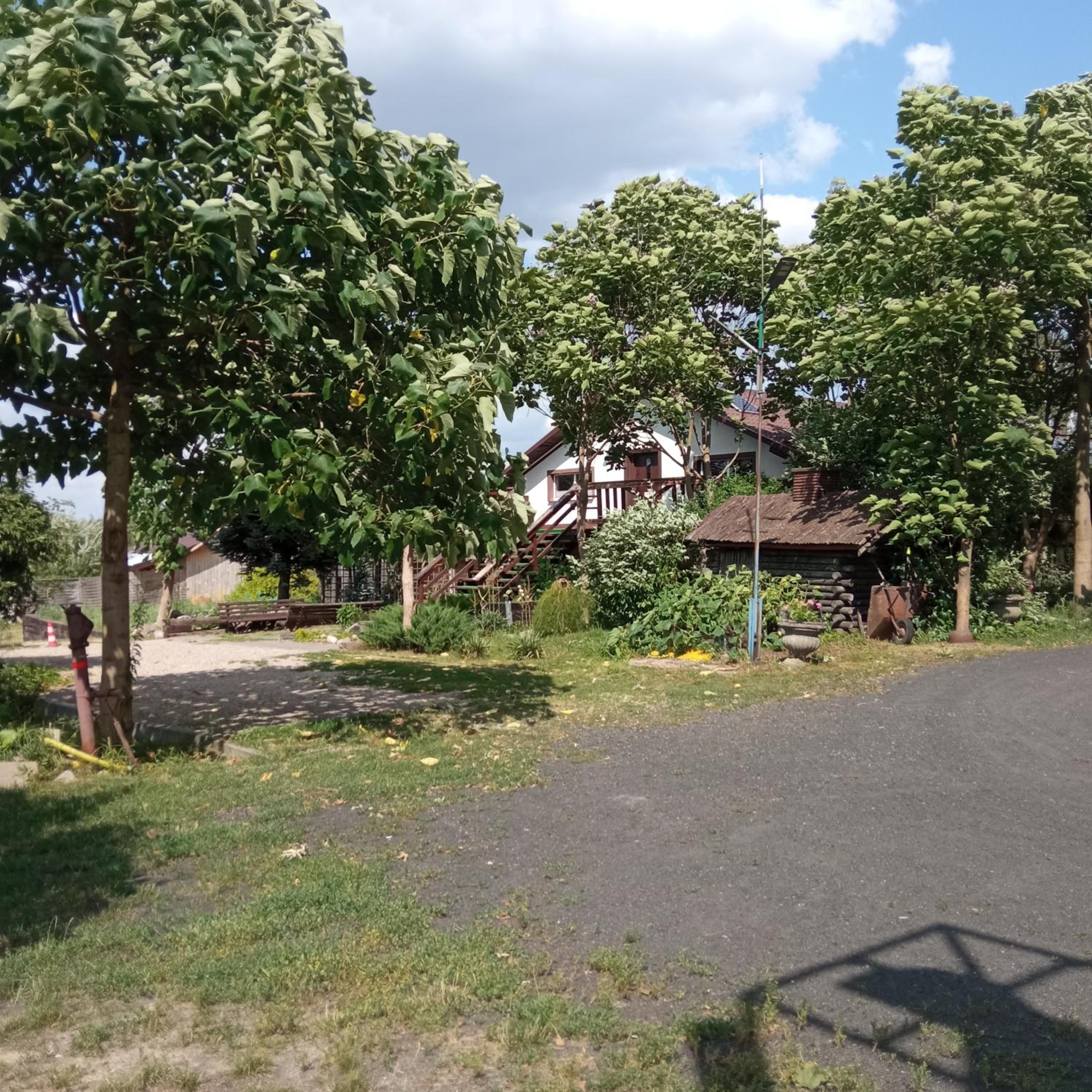 Photo 36