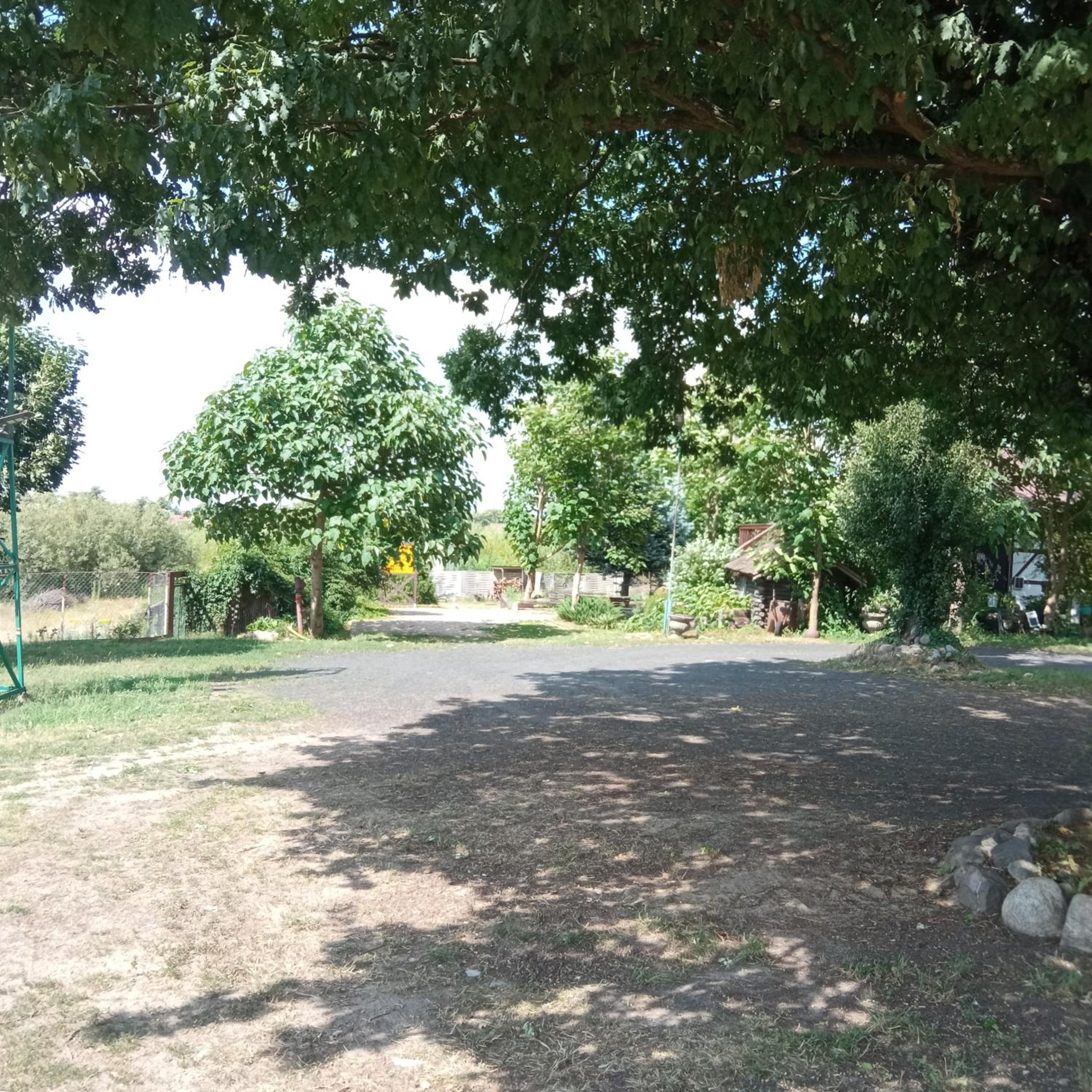 Photo 38