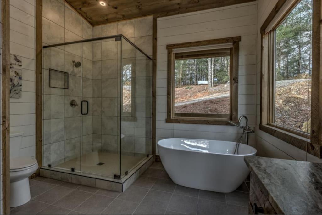 Secluded Luxury Lodge Near Downtown Blue Ridge - Great Views view 3