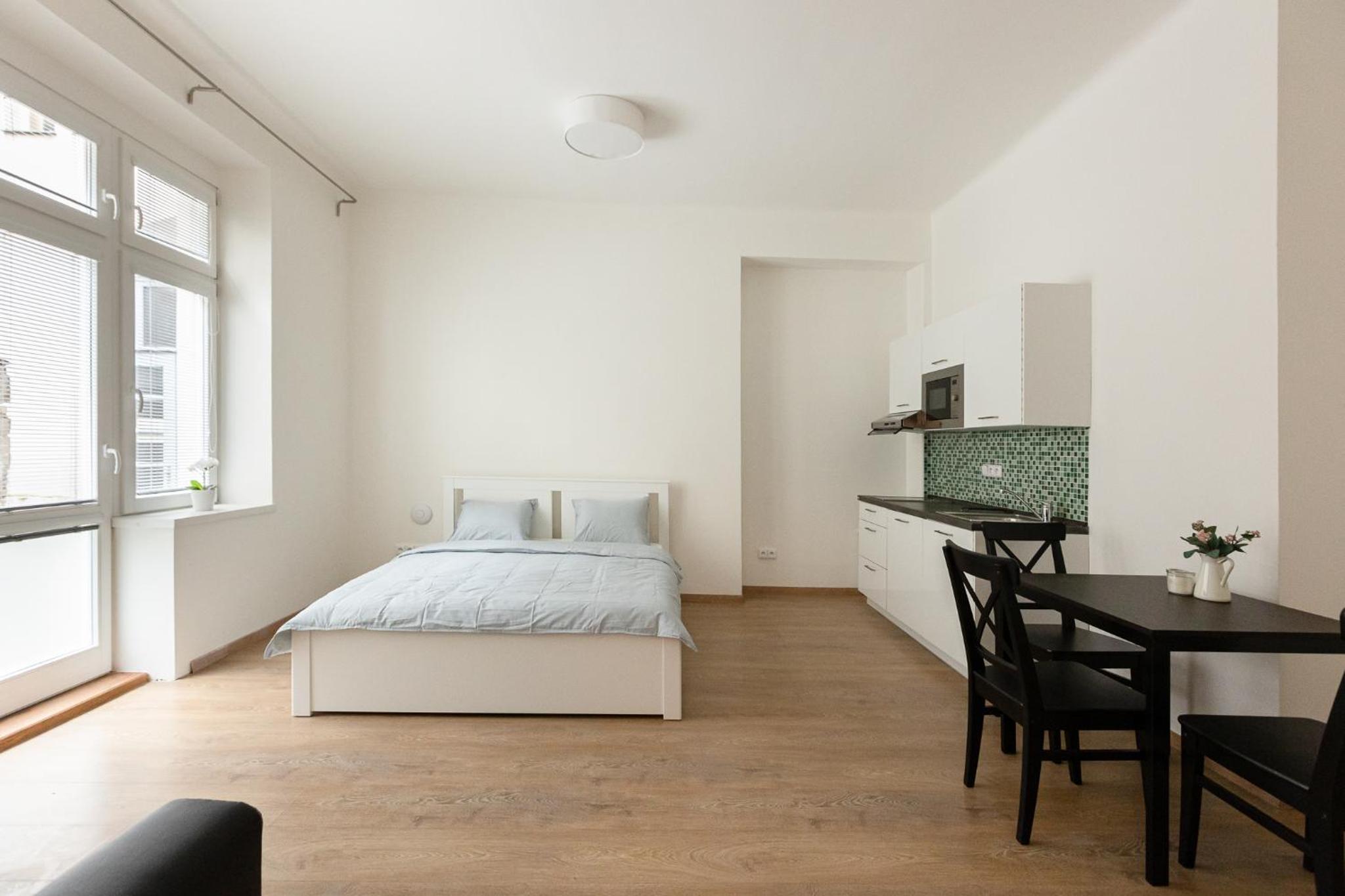 Cozy Studio in quiet courtyard near Charles Bridge