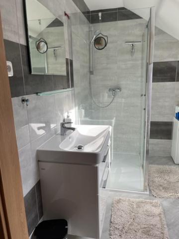 Vila v Brdech s bazénem, infra saunou a vybavením