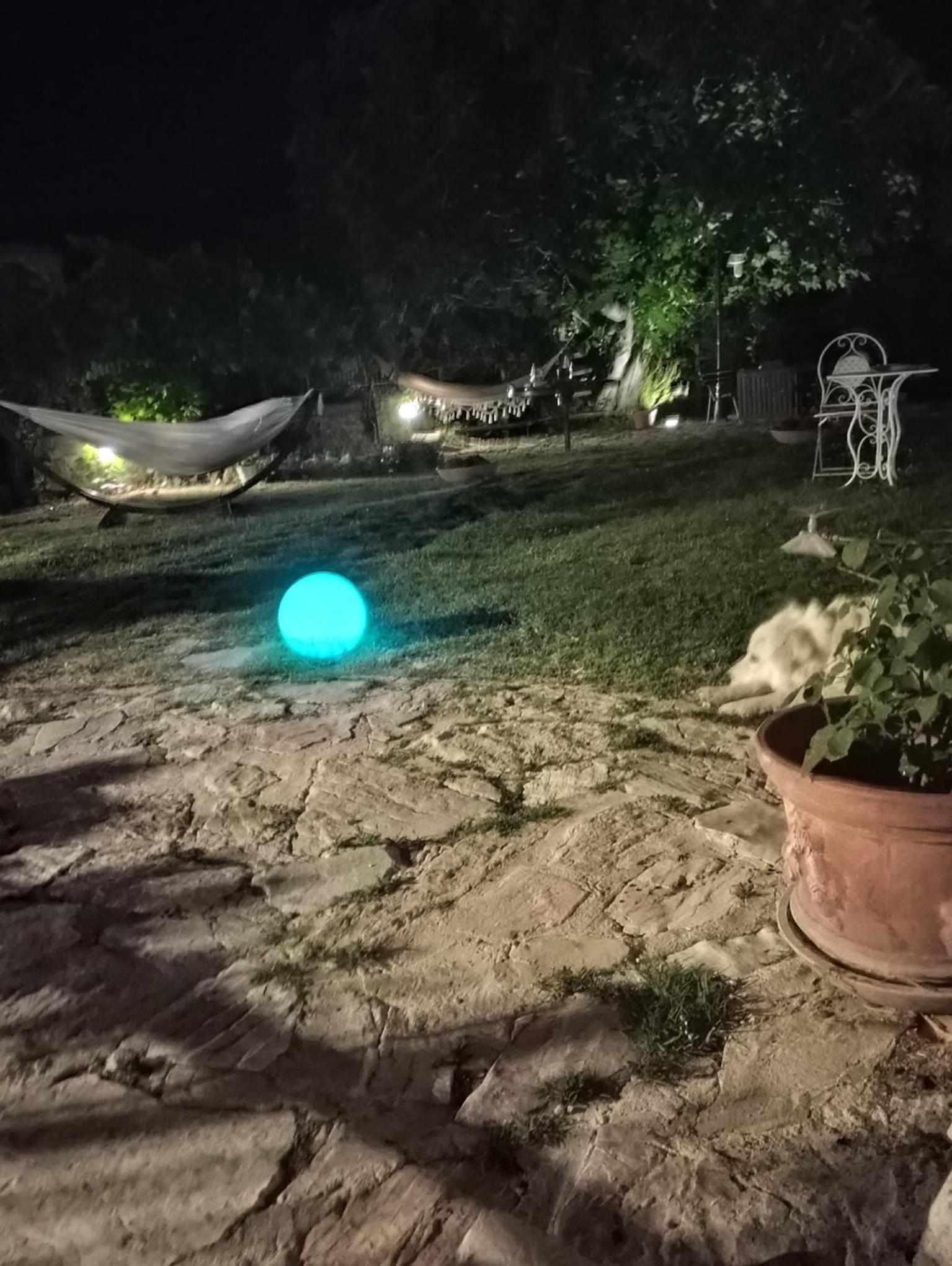 Agriturismo campagna in compagnia