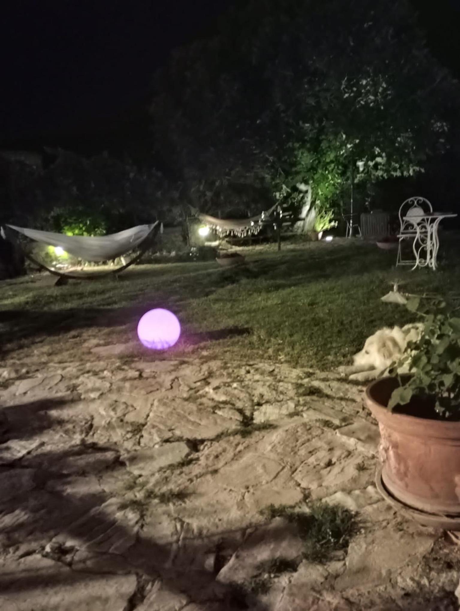 Agriturismo campagna in compagnia