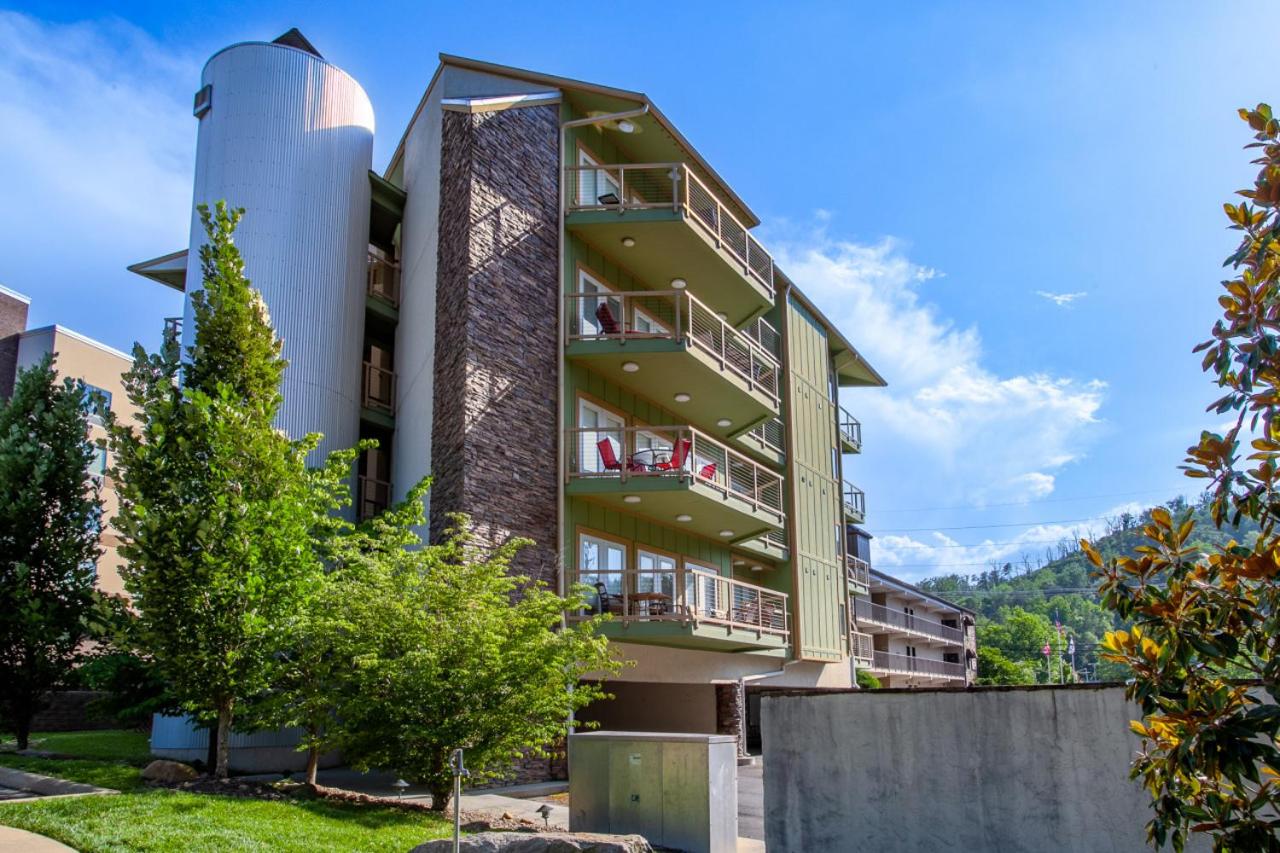 Snowbird Sanctuary Center of Gatlinburg