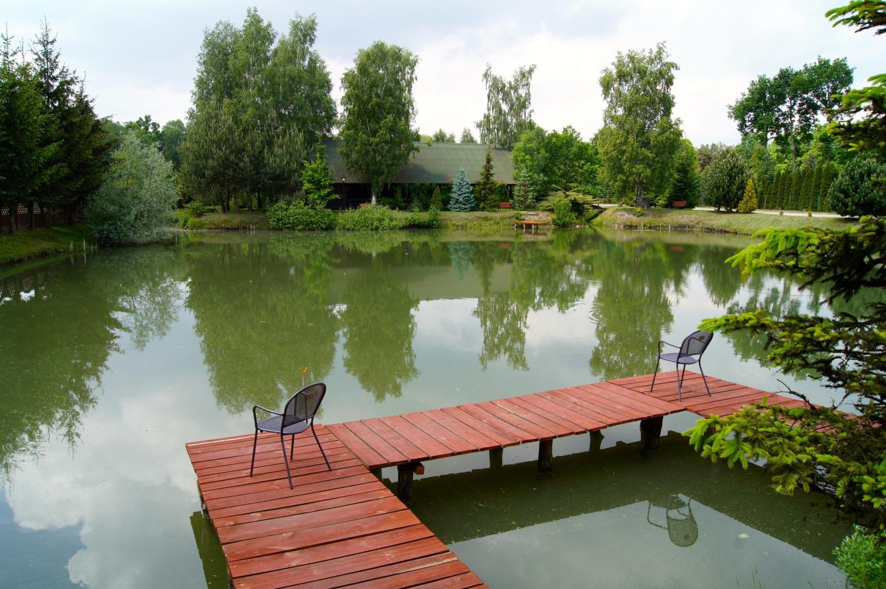 Złota Rybka view 5