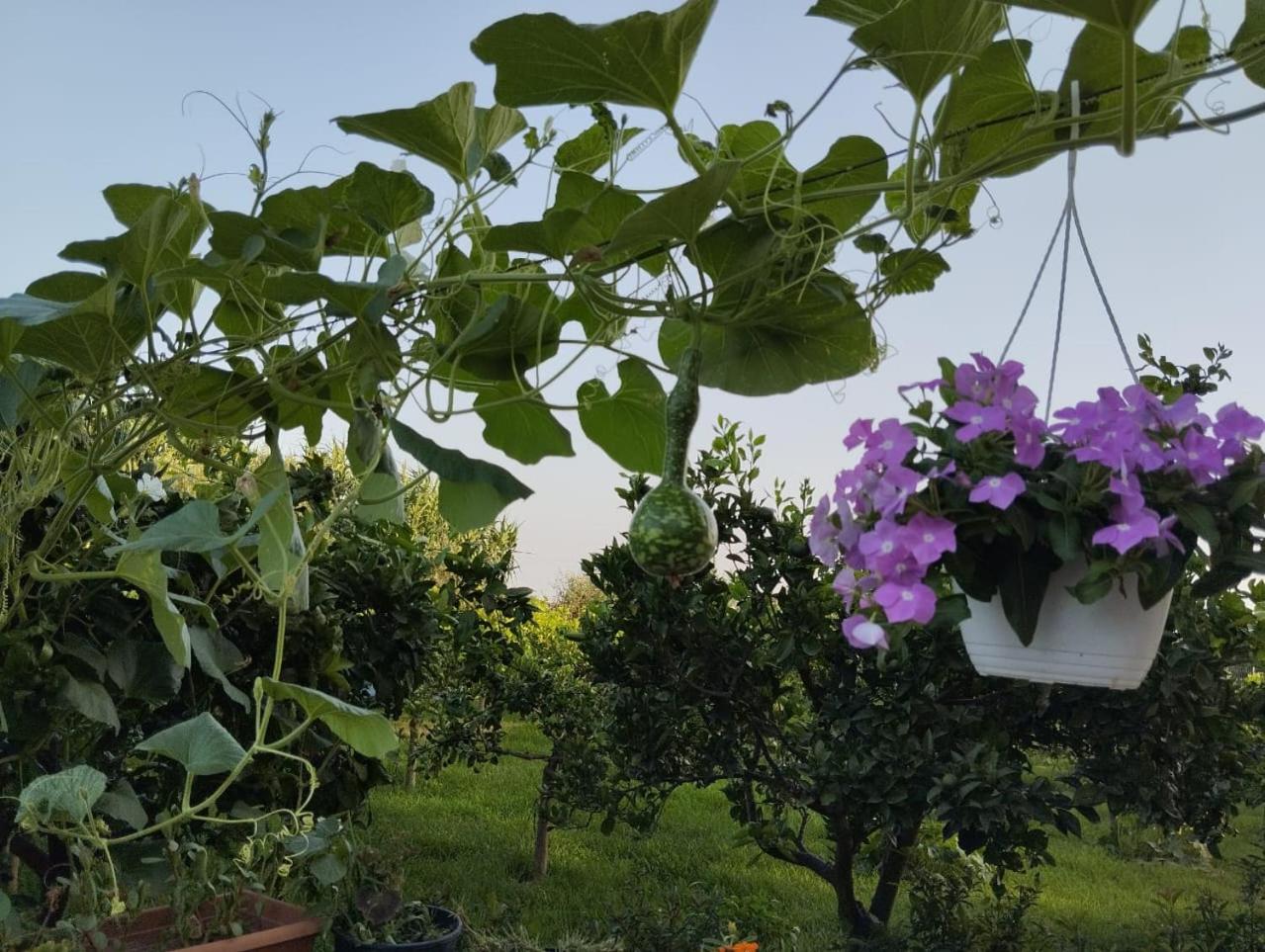 The Garden Guest House