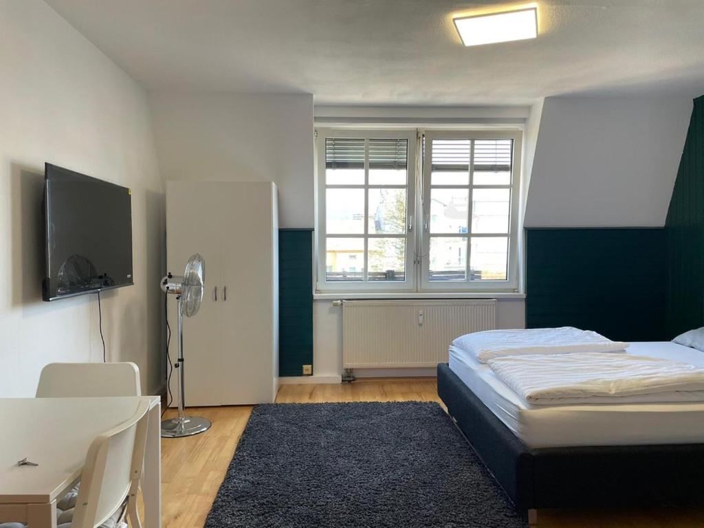 Linz -central condo