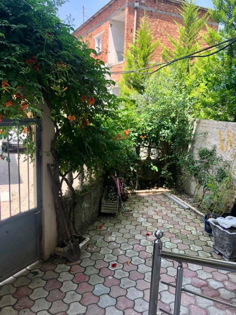 MJolly Apartment