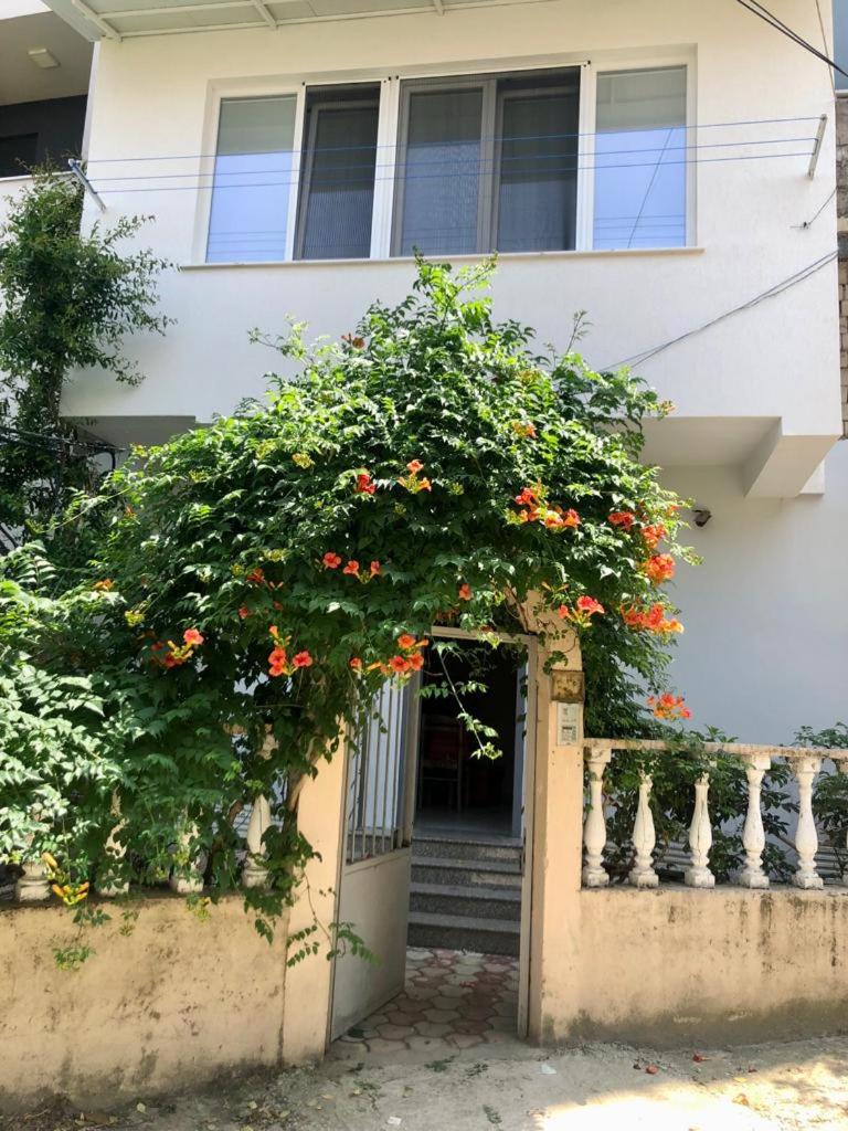 MJolly Apartment