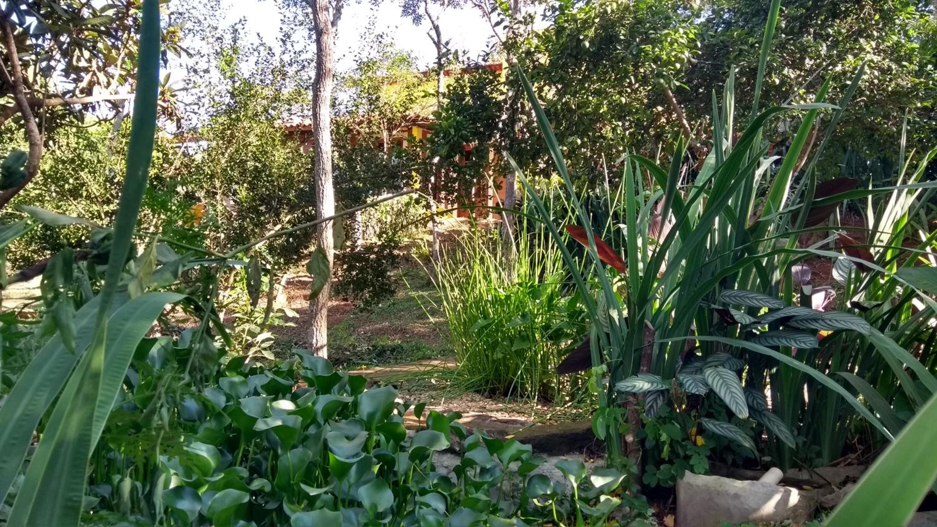 EcoHousing Gaia Terranova Hospedagem eco pet friendly