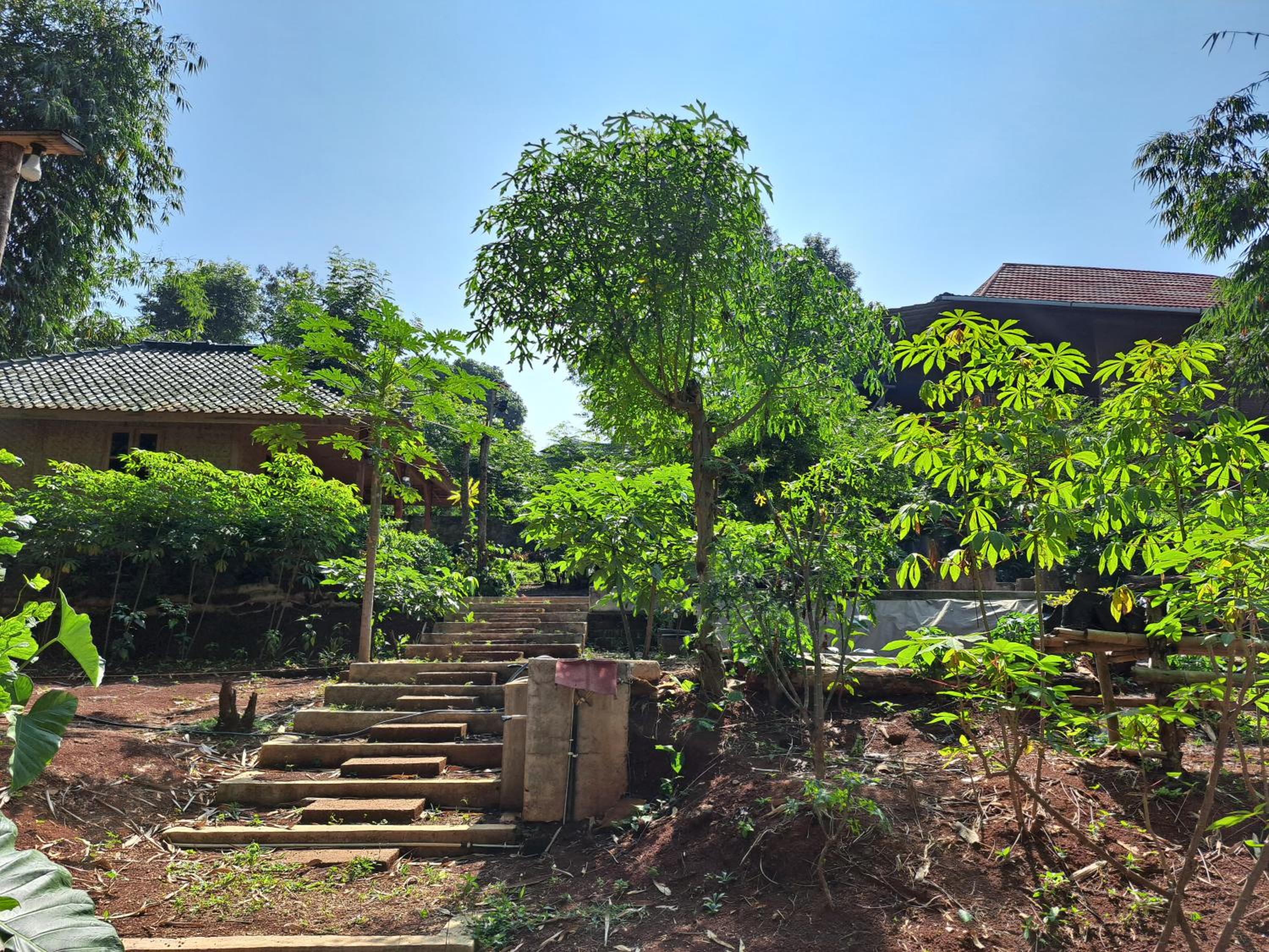 Juar House