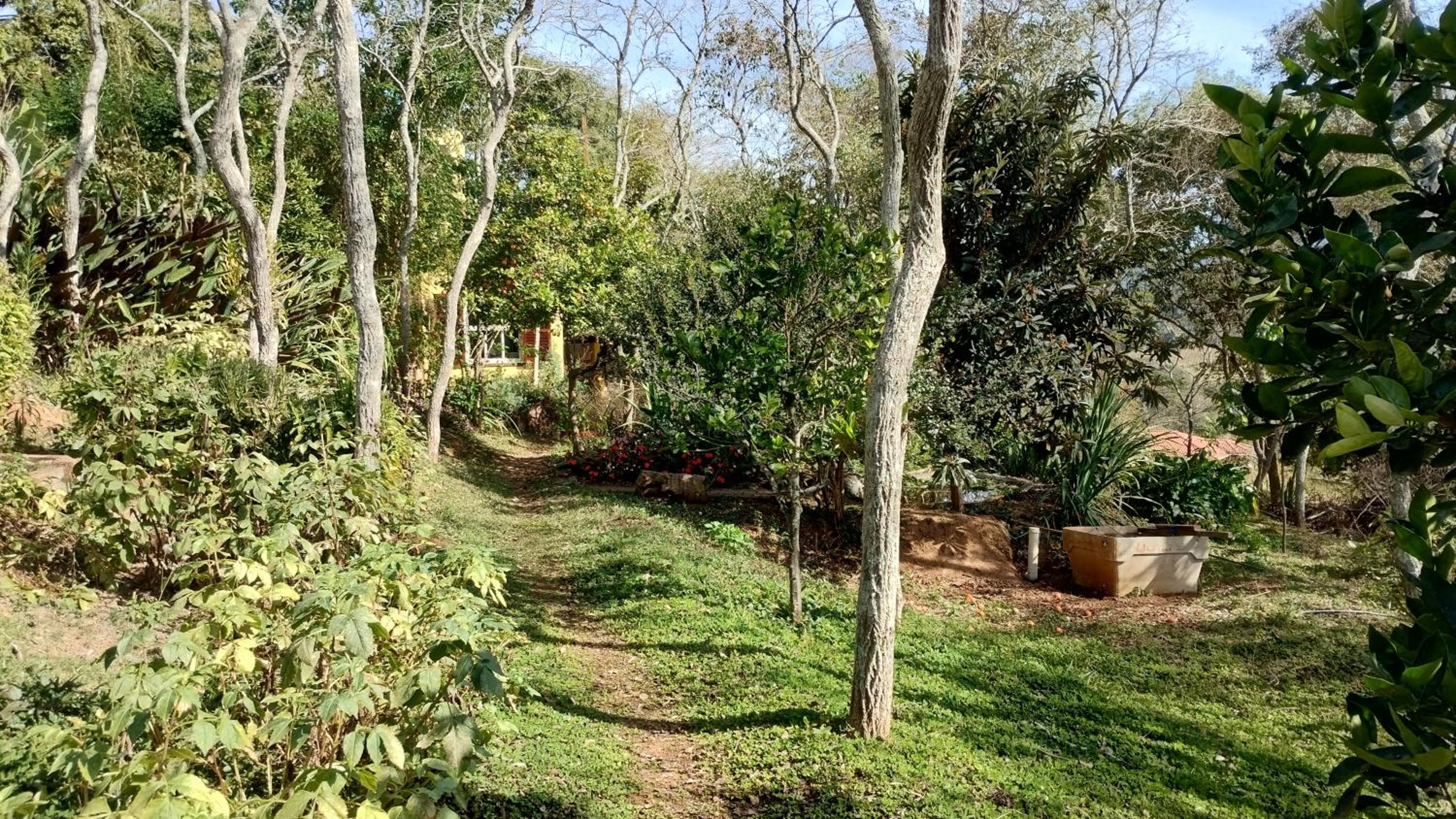 EcoHousing Gaia Terranova Hospedagem eco pet friendly