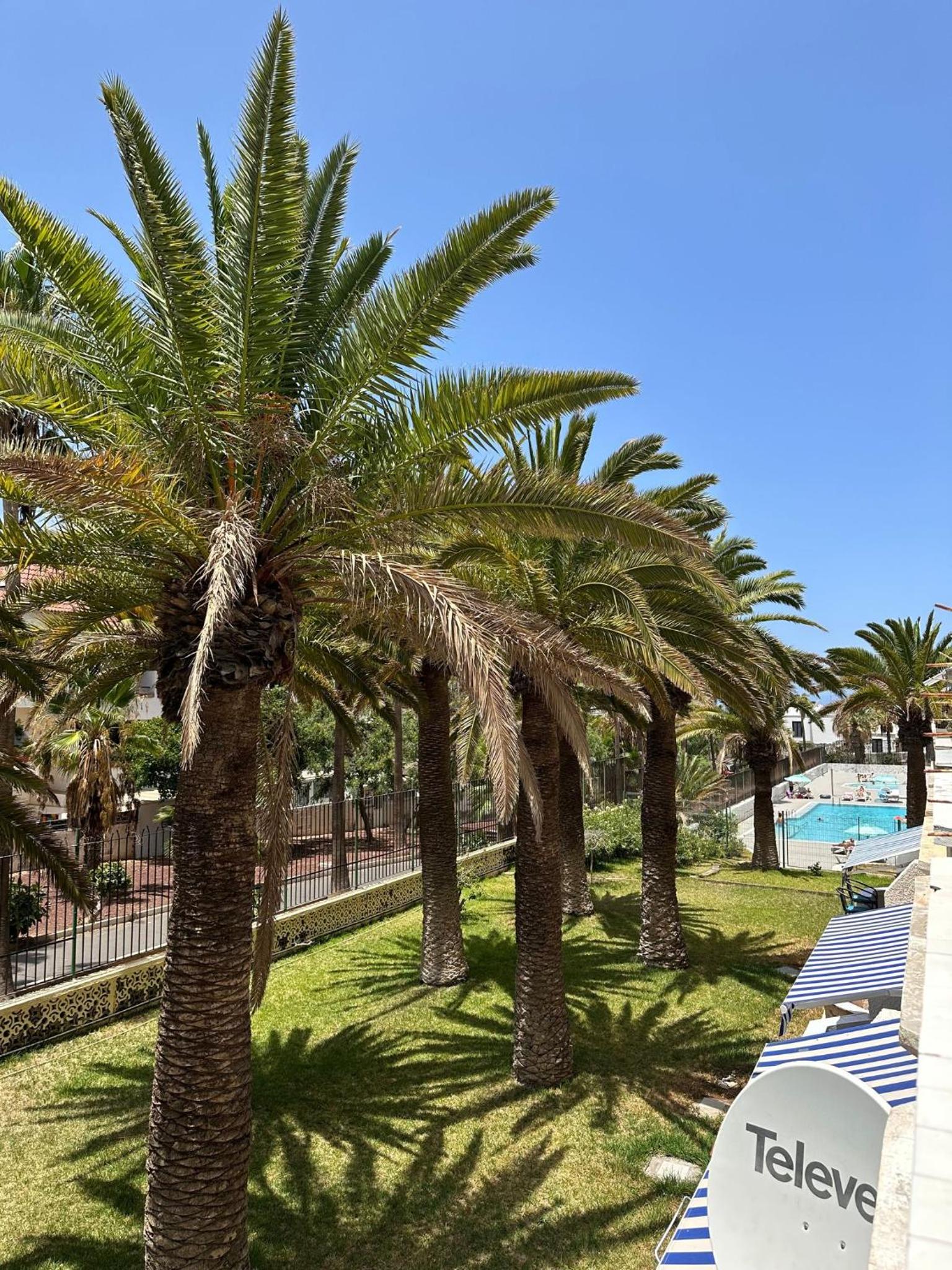 Las Americas Tenerife