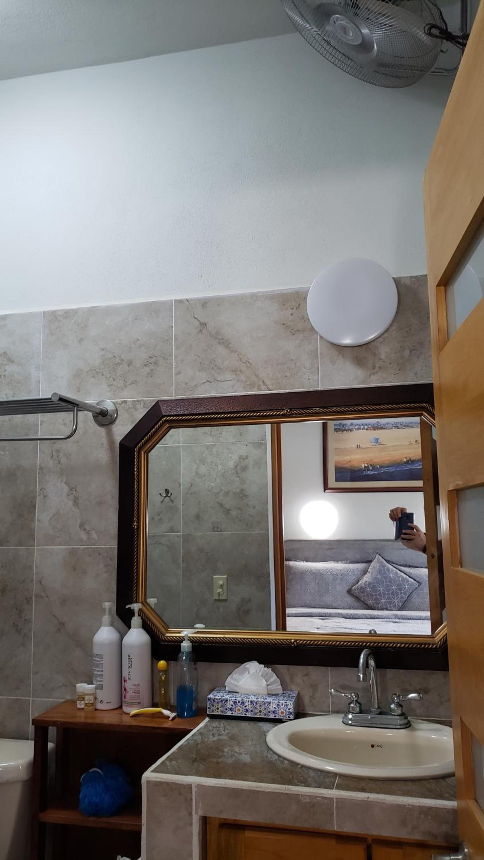 Photo 19