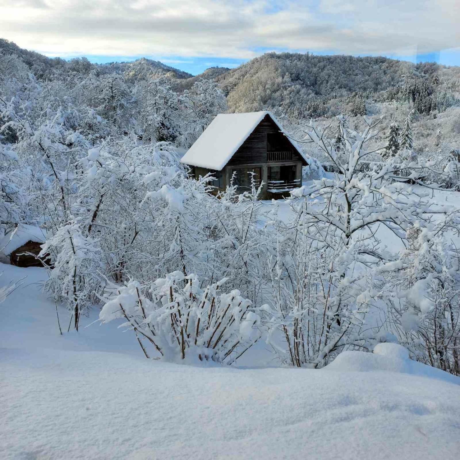 Shemoqmedi chalet
