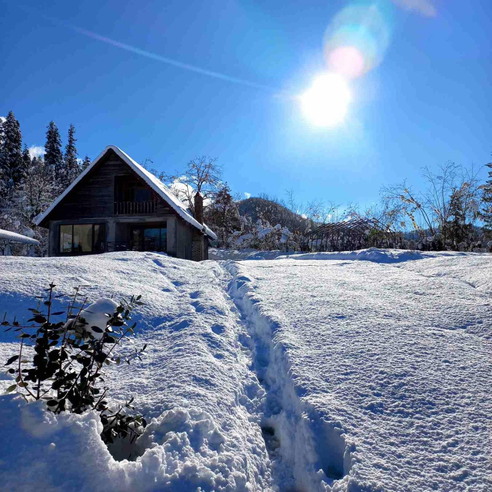 Shemoqmedi chalet