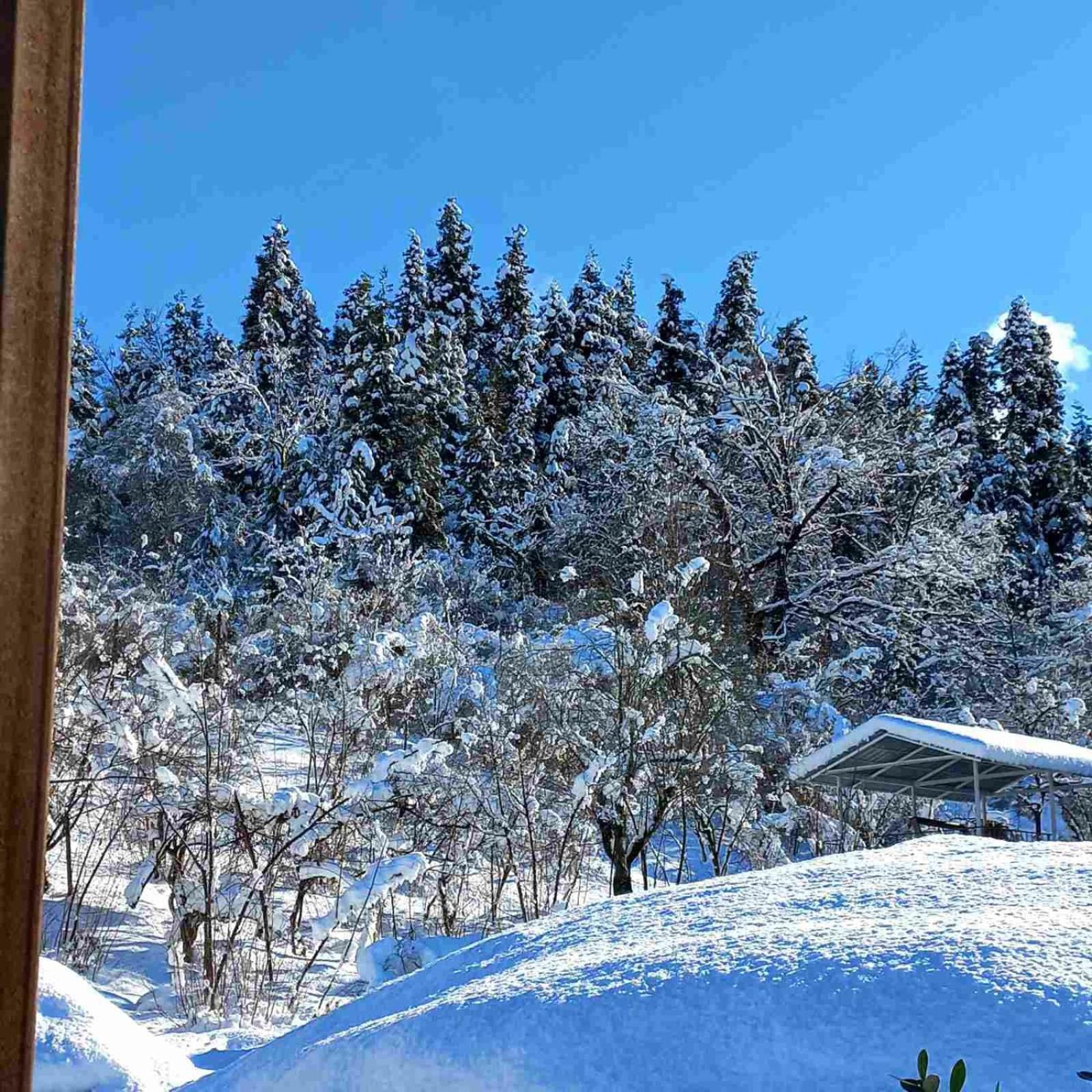 Shemoqmedi chalet