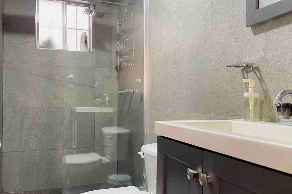 •Executive Suite• Quiet, Centrally & Comfortable view 4