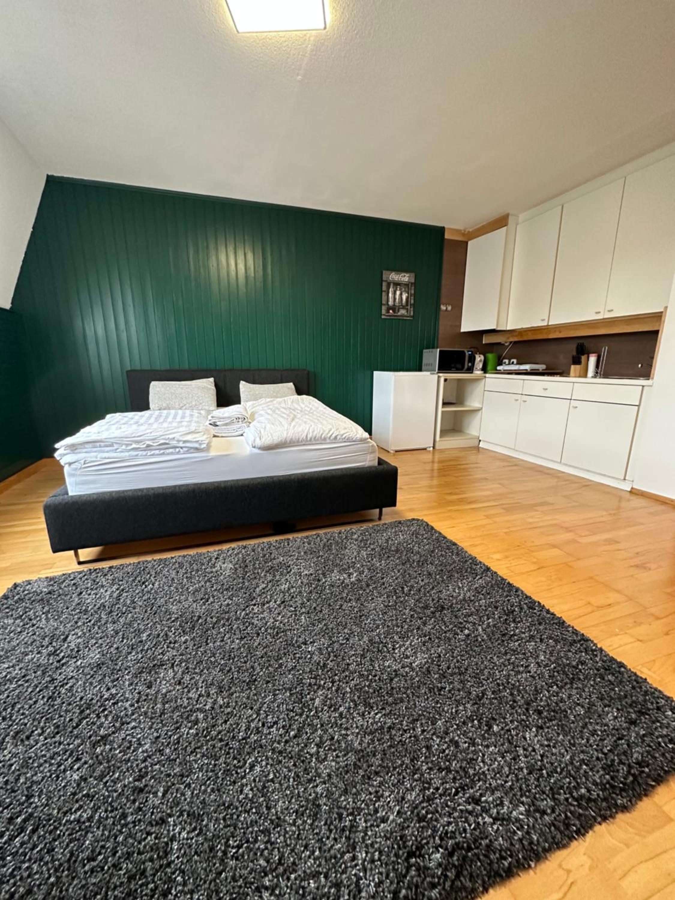 Linz -central condo