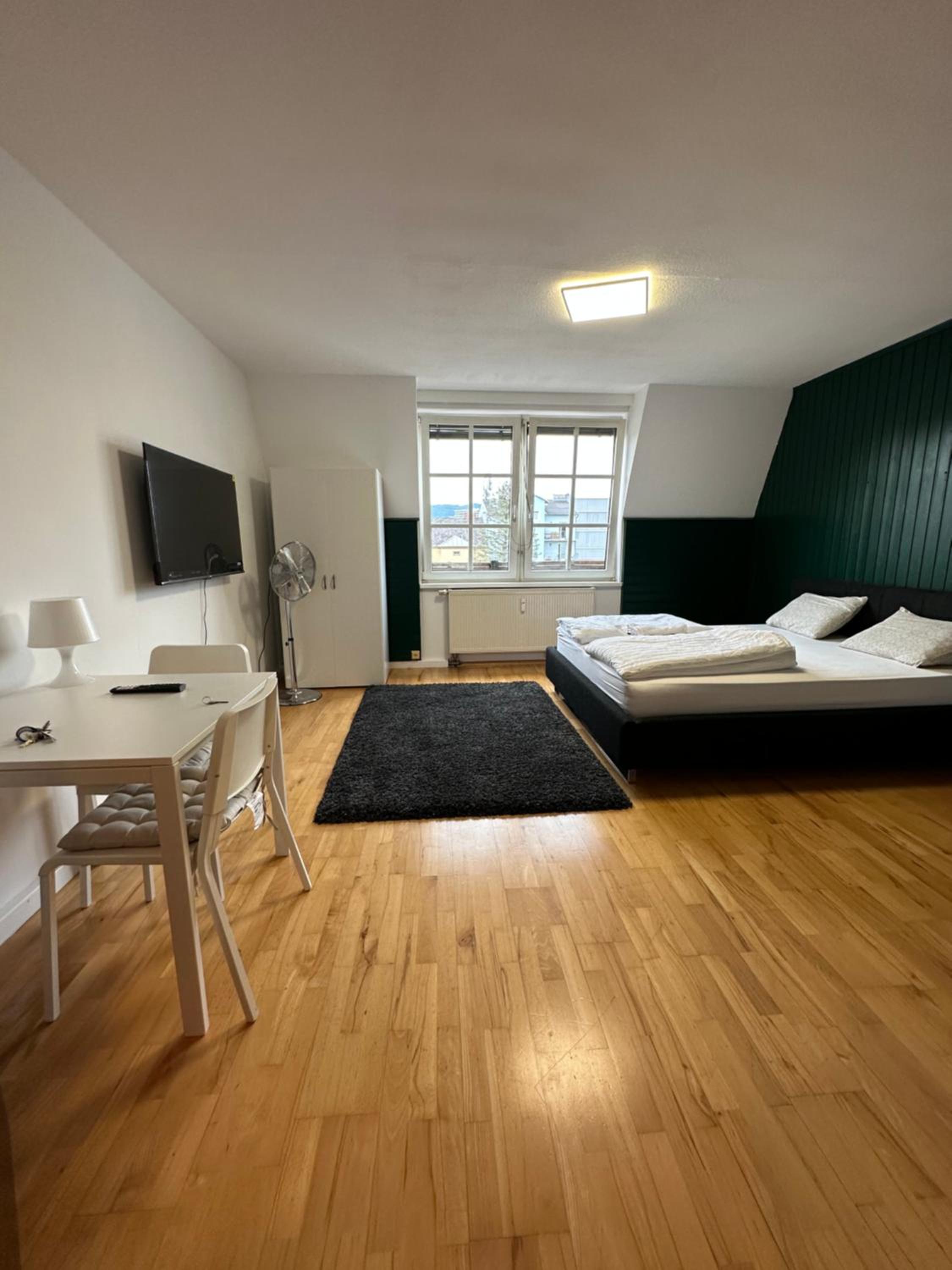 Linz -central condo