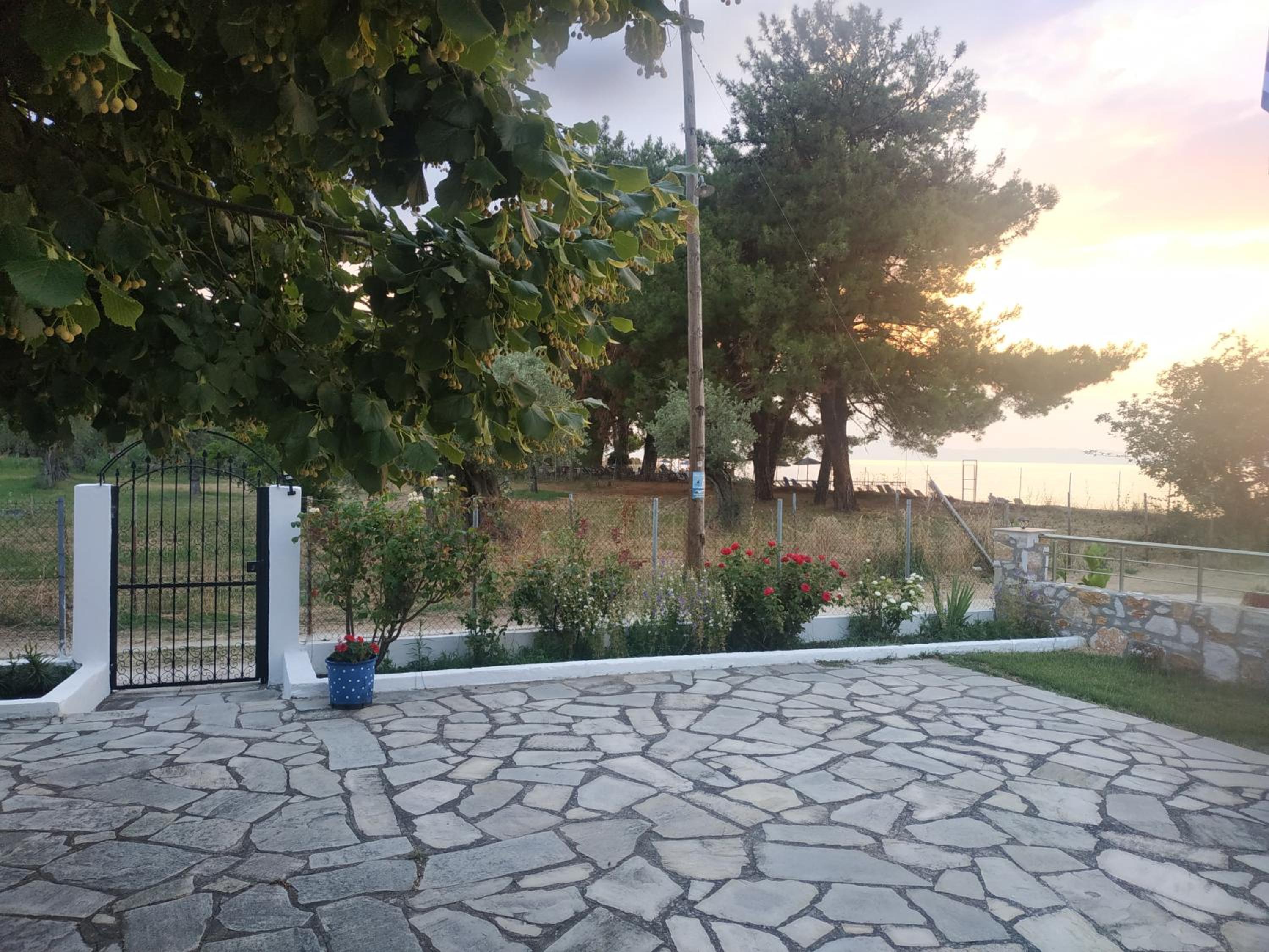 Photo 37