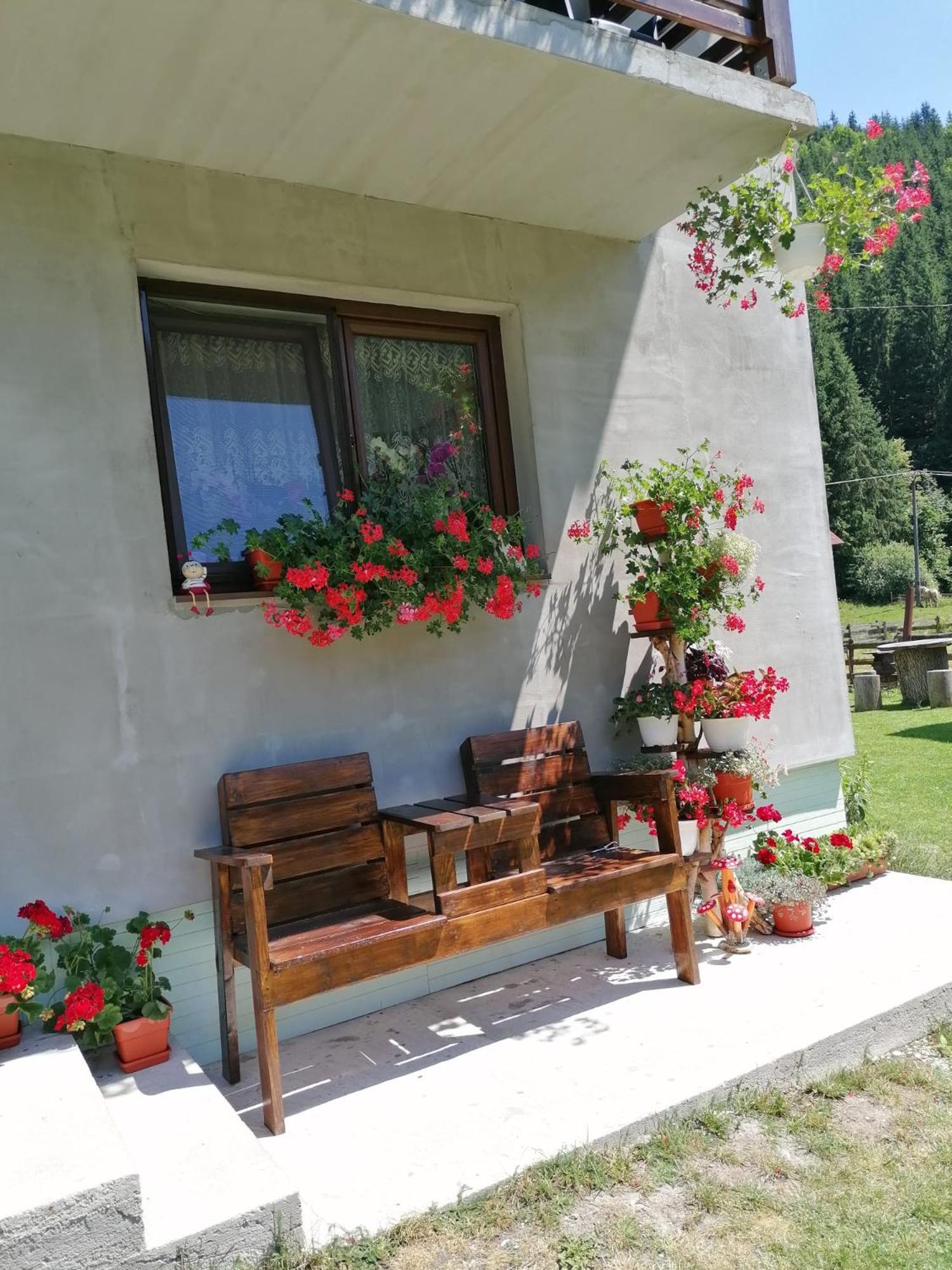 Cabana Inima Munților