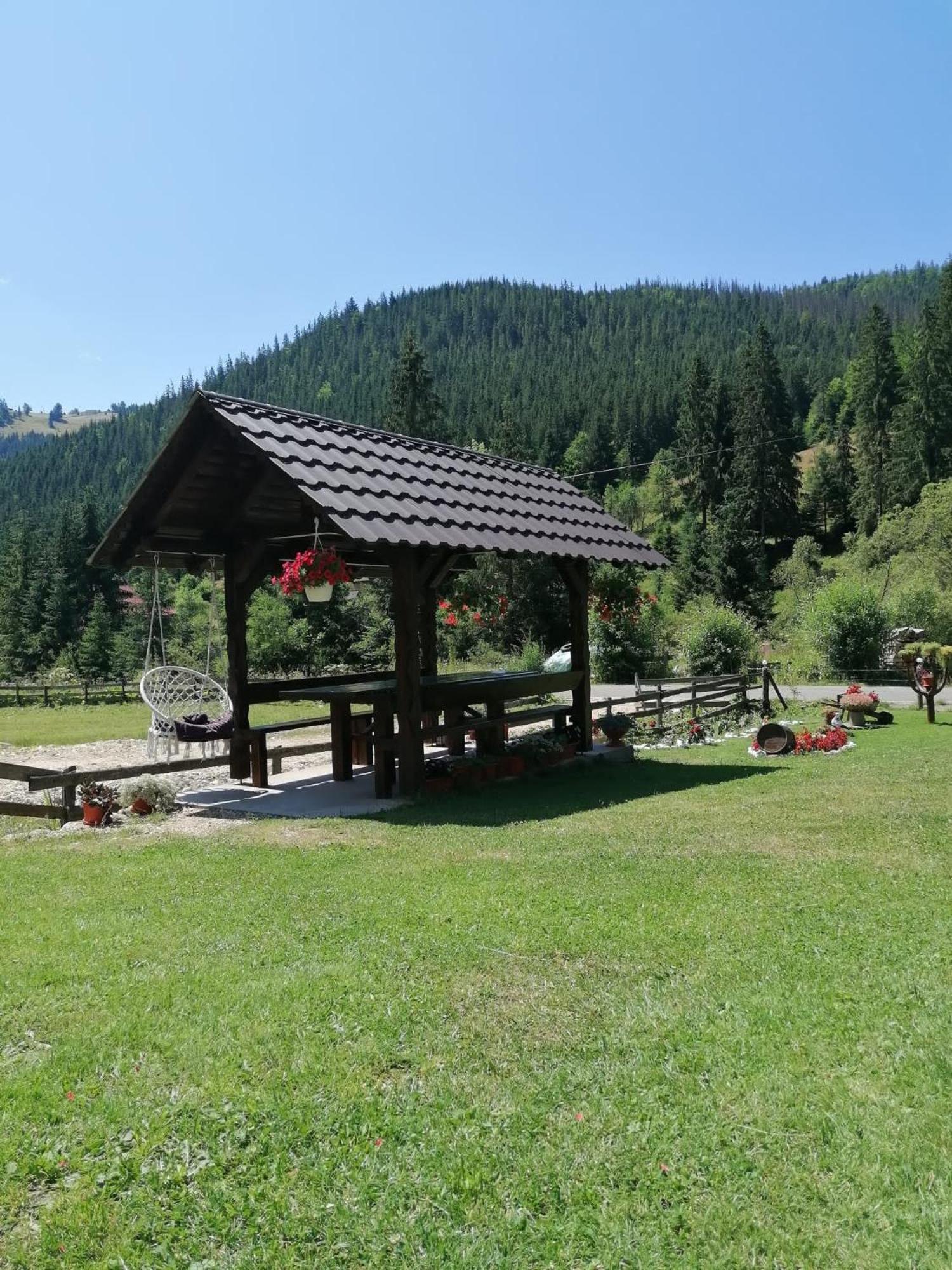 Cabana Inima Munților
