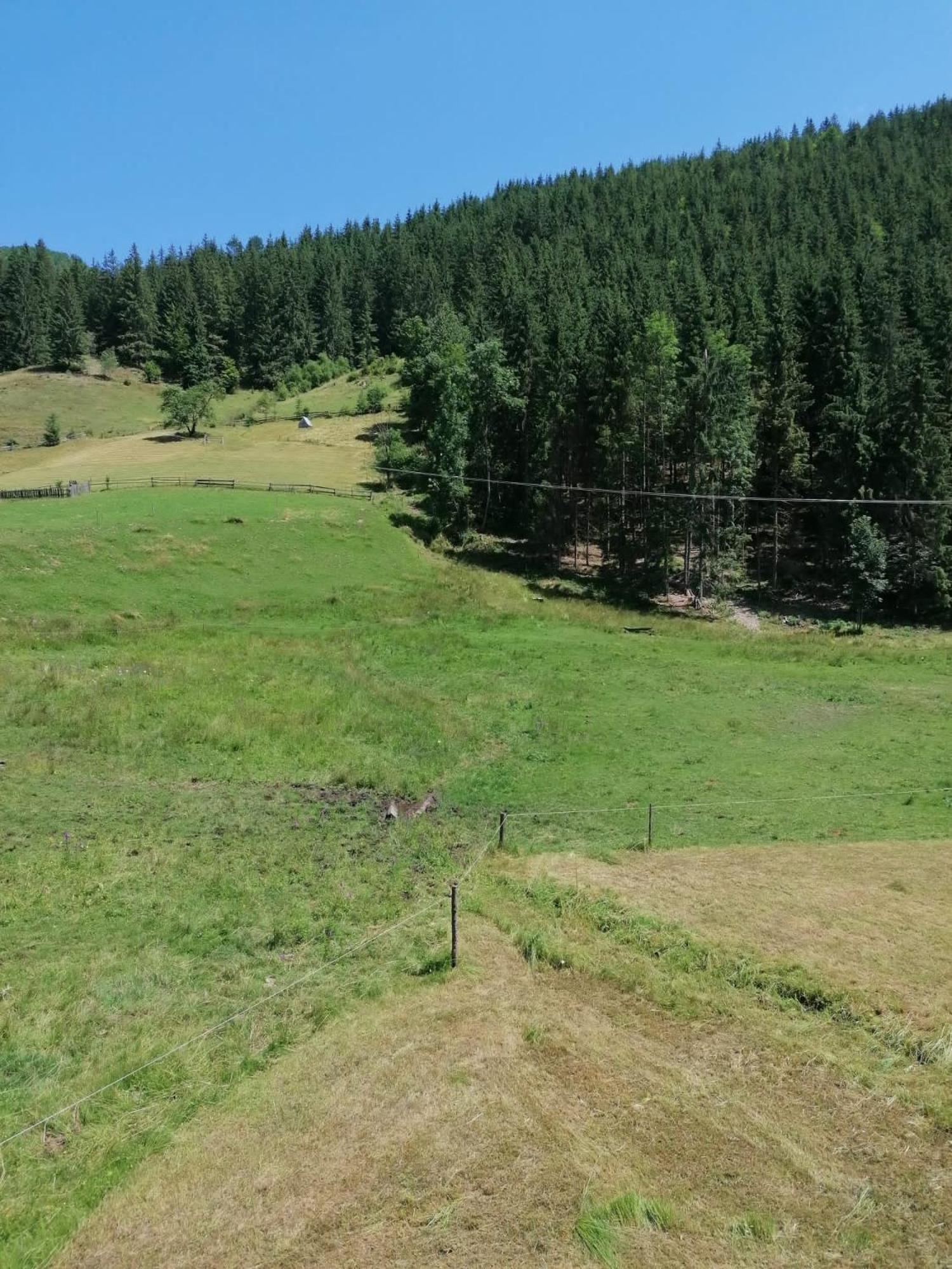 Cabana Inima Munților