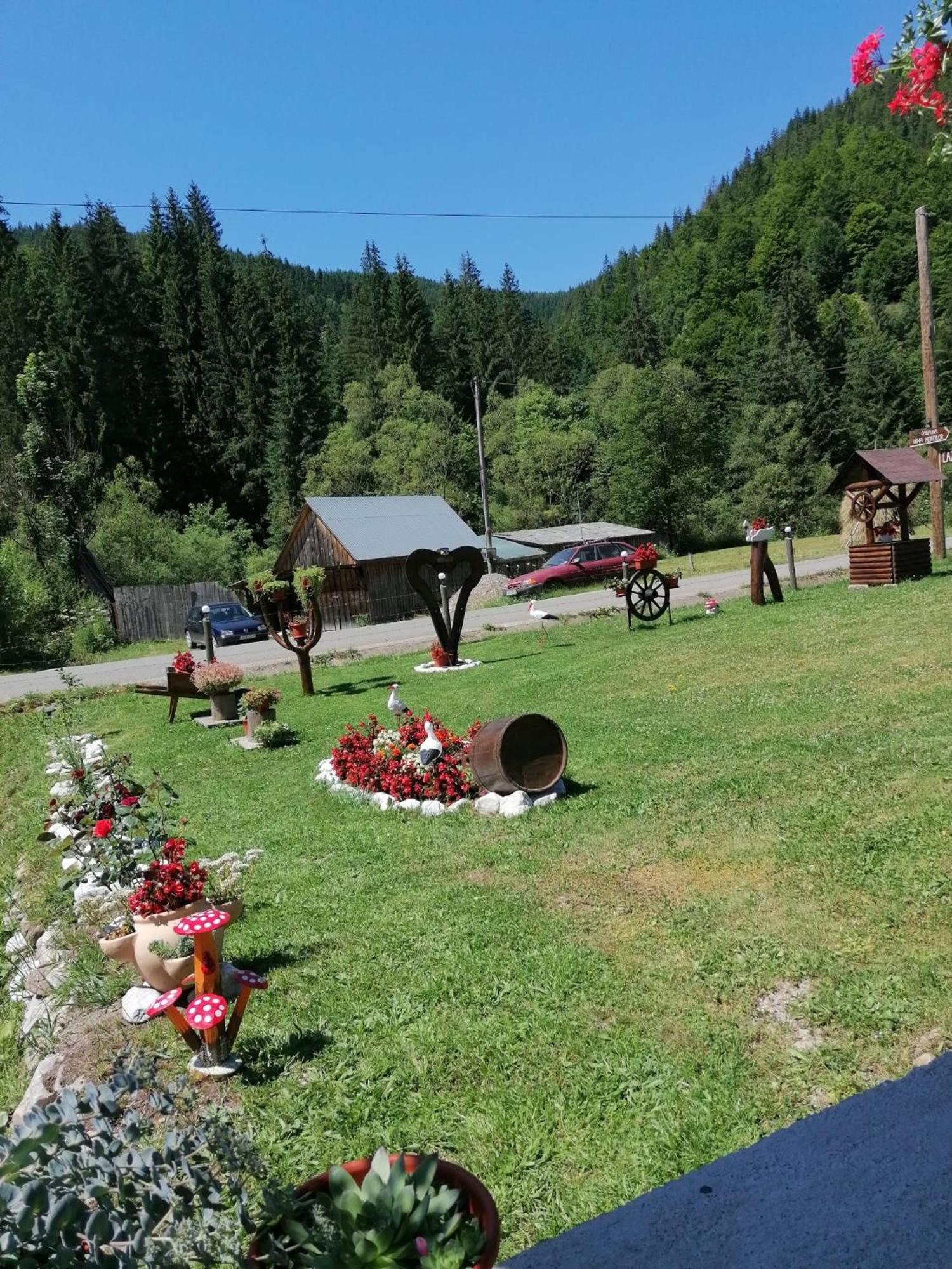 Cabana Inima Munților