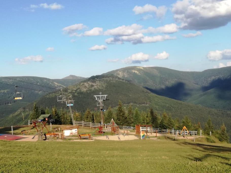 Apartmán Horní Mísečky F11 - Horský svět