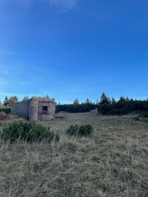 Apartmán Horní Mísečky F11 - Horský svět