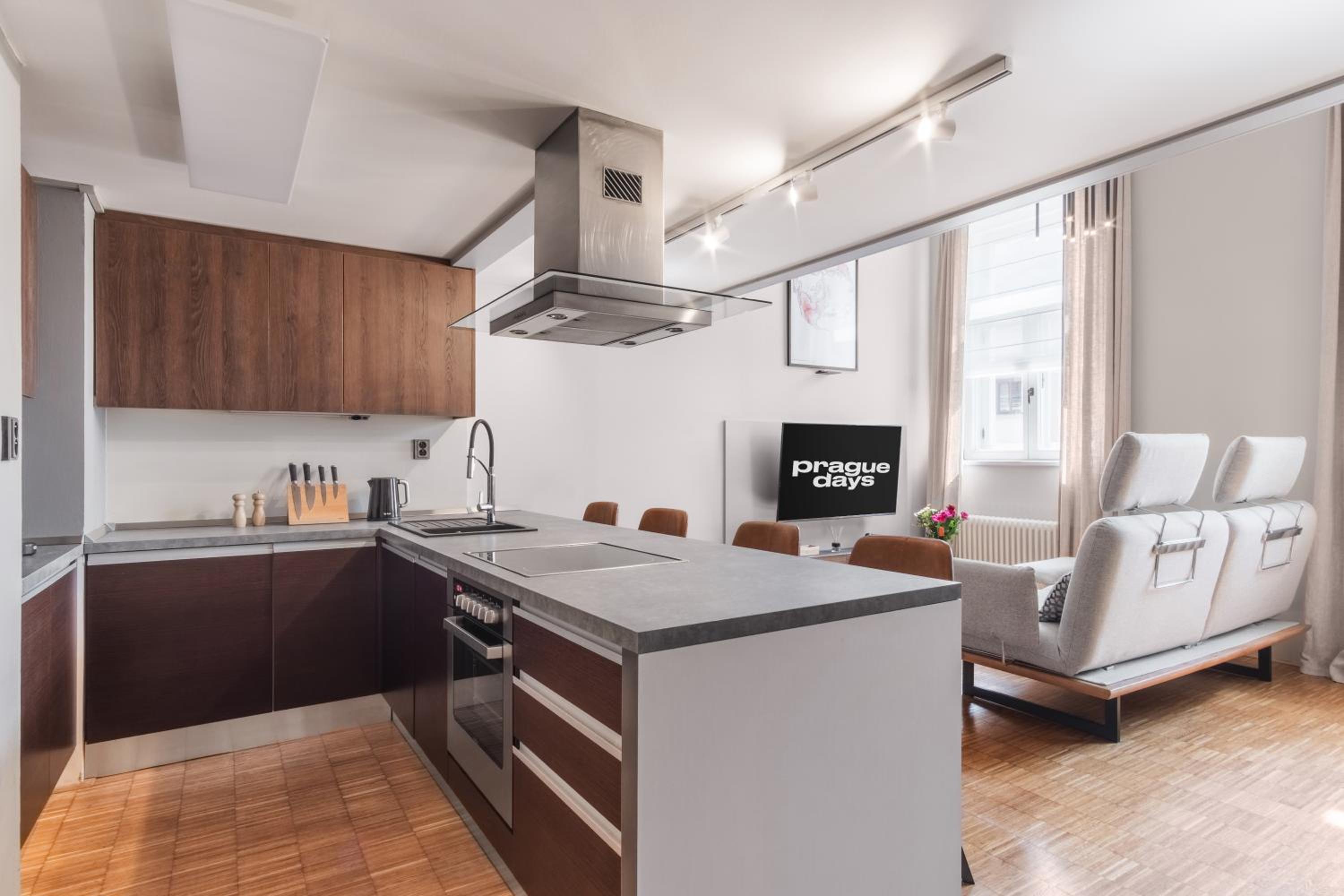 Prague Days - Loft with Garage and Workspace right next to Wenceslas Square