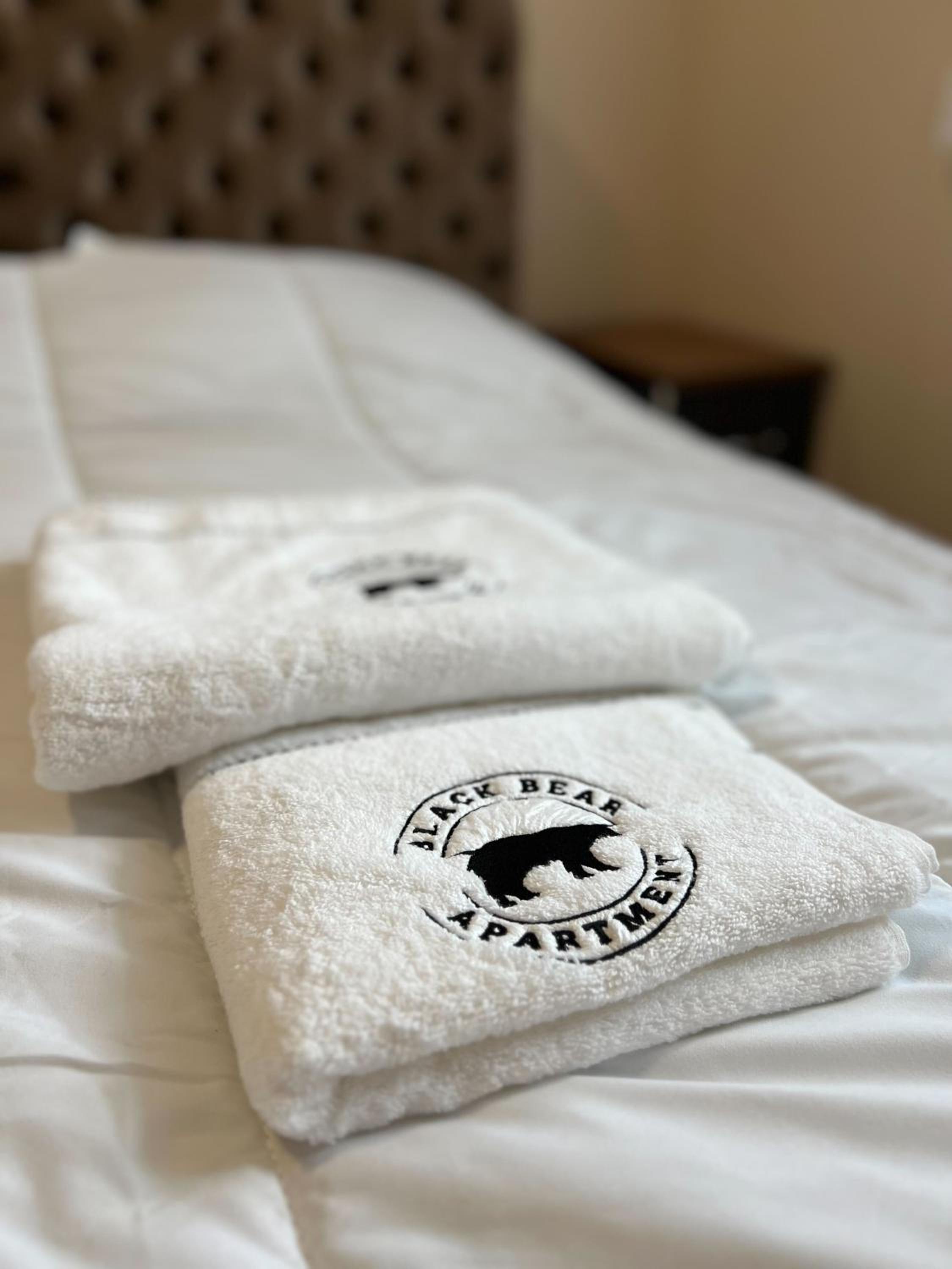 Black Bear Apartment