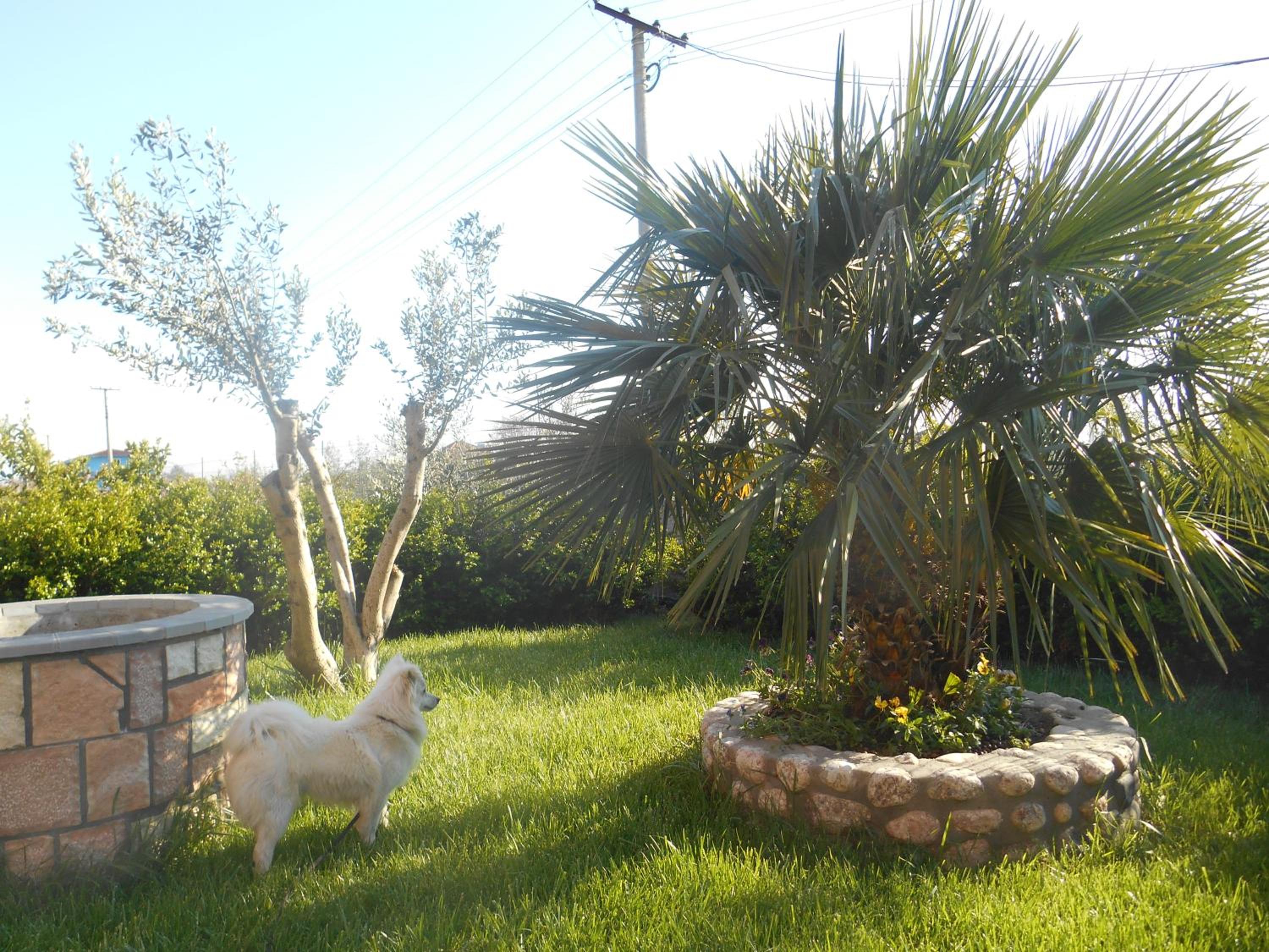 The Garden Guest House