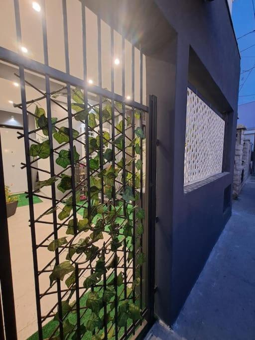 FLOWER'S HOUSE di Doris Simone view 2