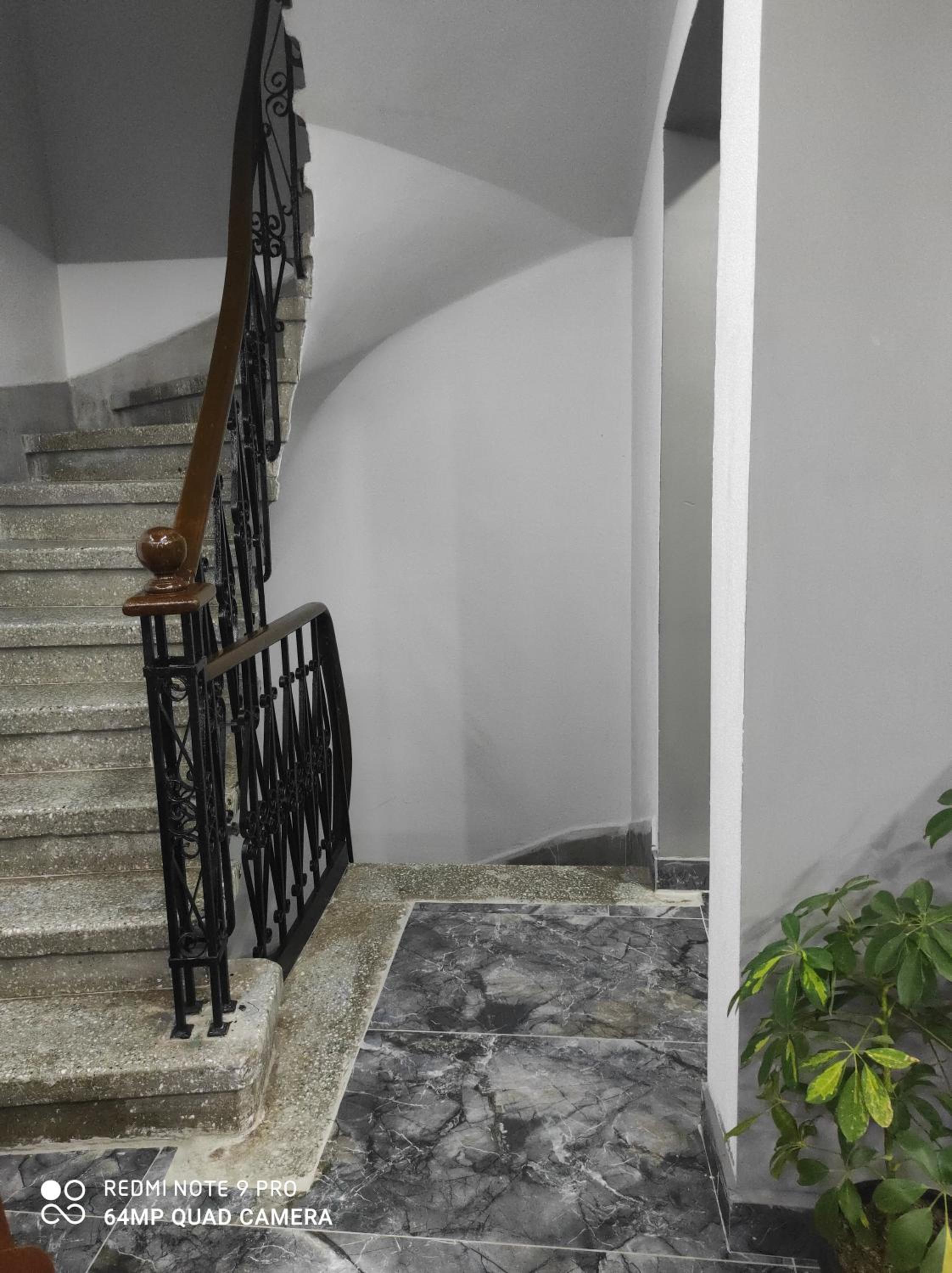 Gökotta Süit - Image 19