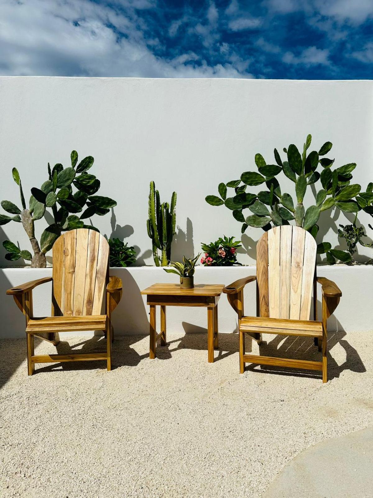 Las Guapas Villas Tamarindo
