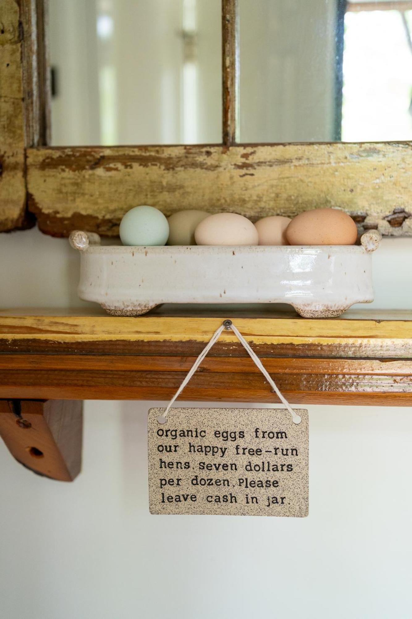 Owl's Nest Suites