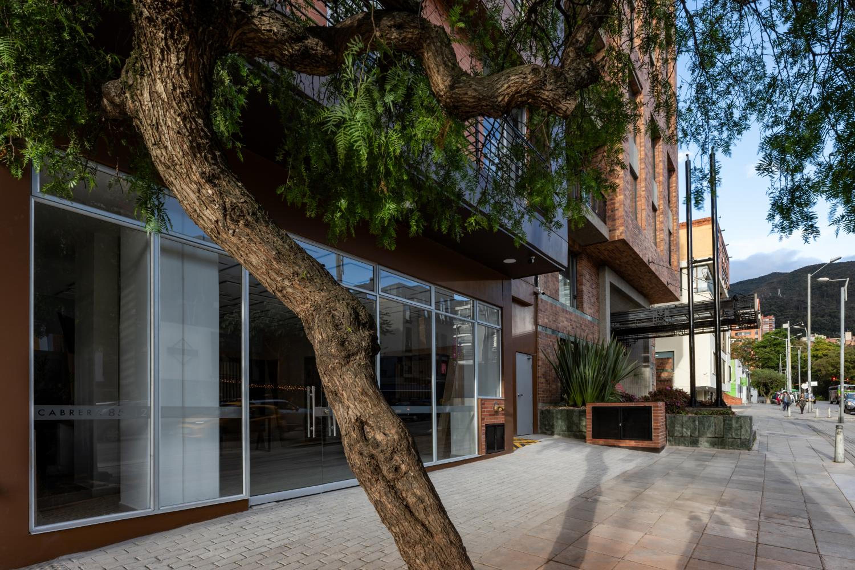 Cabrera 85 Apartments By Jalo
