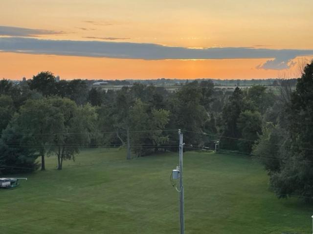 Sunsets At The Oasis