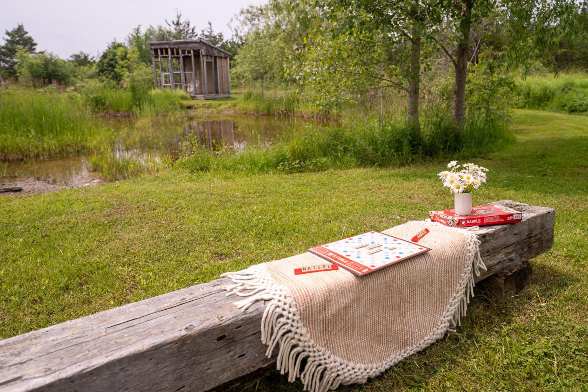 Owl's Nest Suites