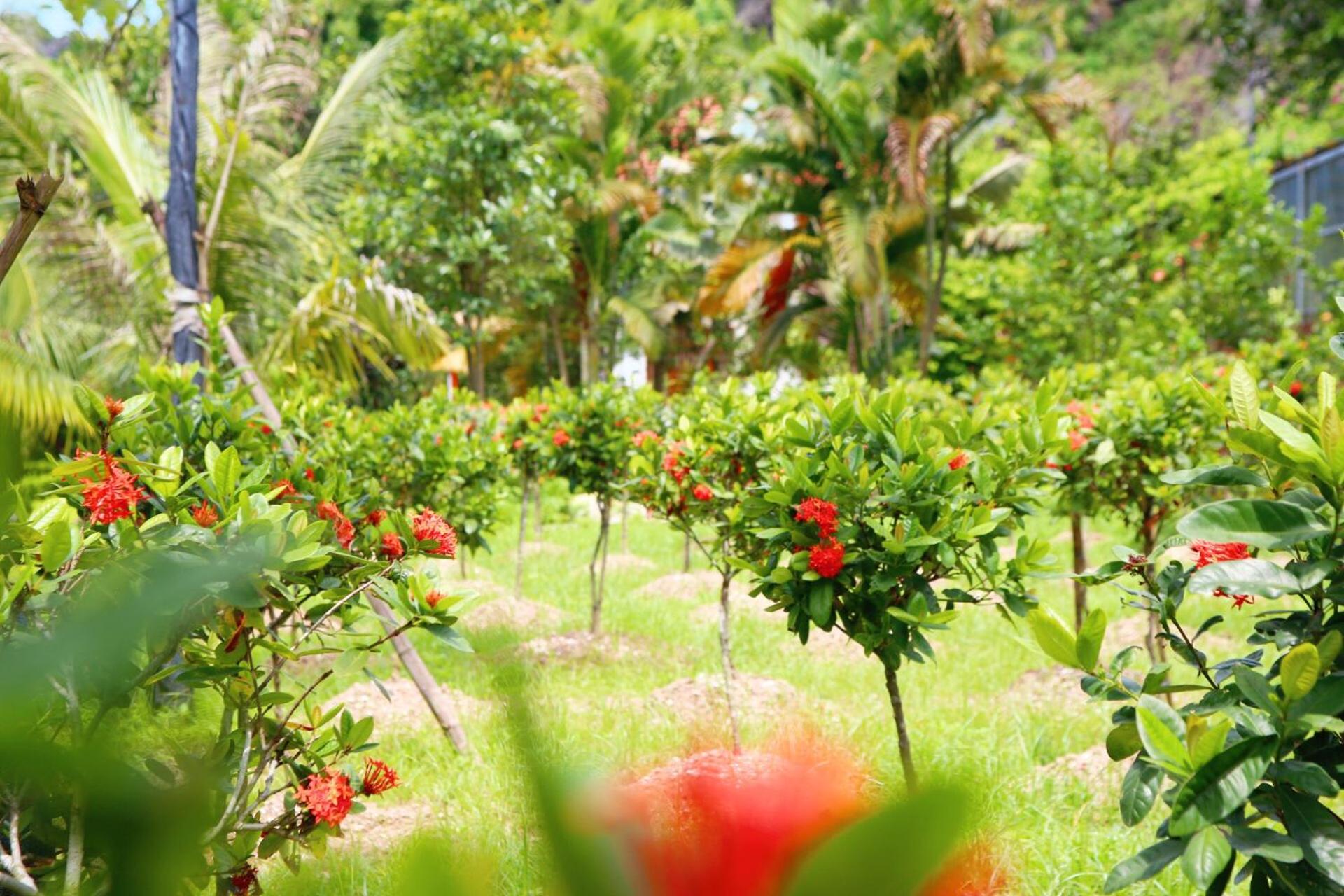 An's Eco Mountain Homestay