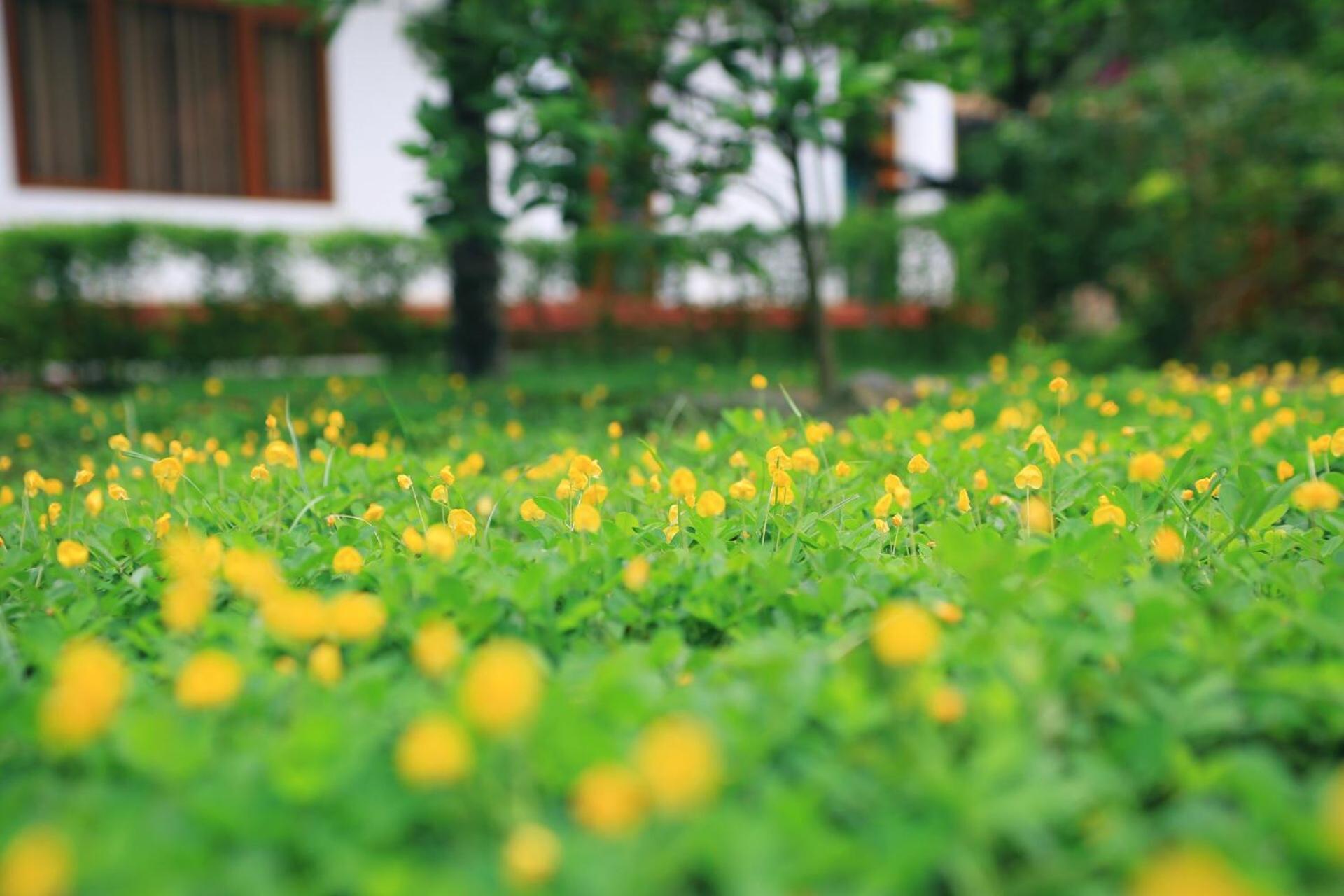 An's Eco Mountain Homestay