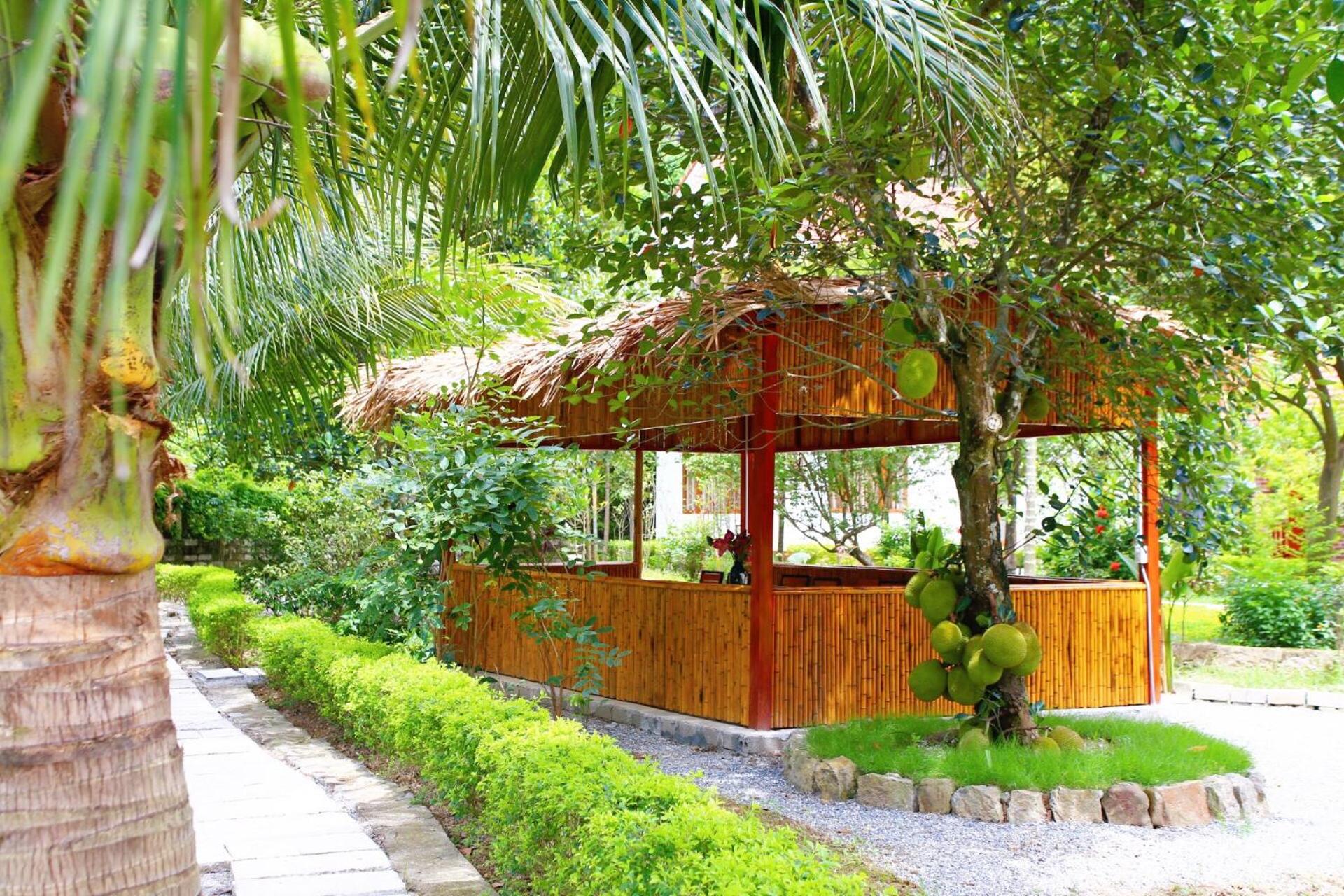 An's Eco Mountain Homestay
