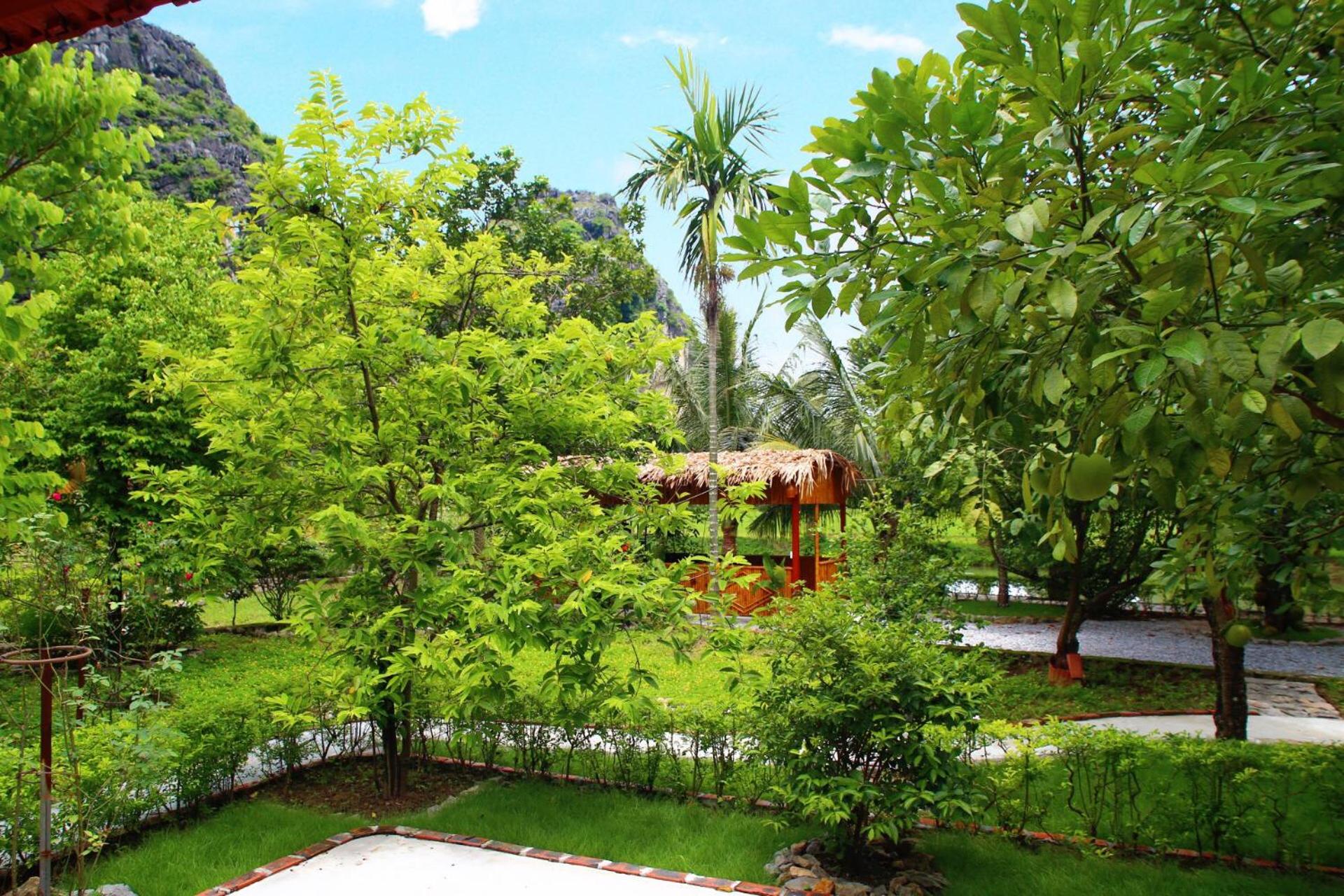 An's Eco Mountain Homestay