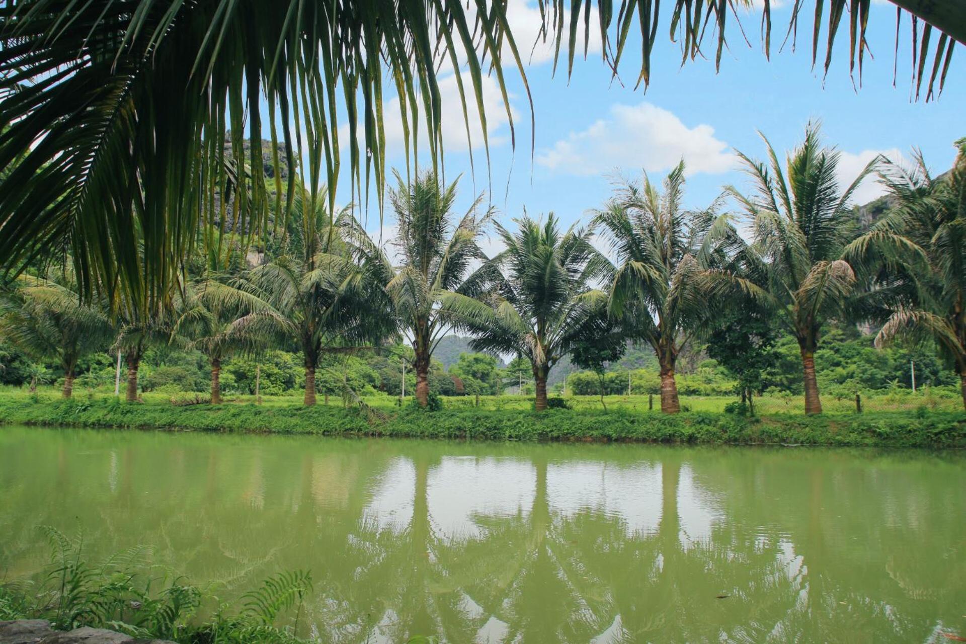 An's Eco Mountain Homestay