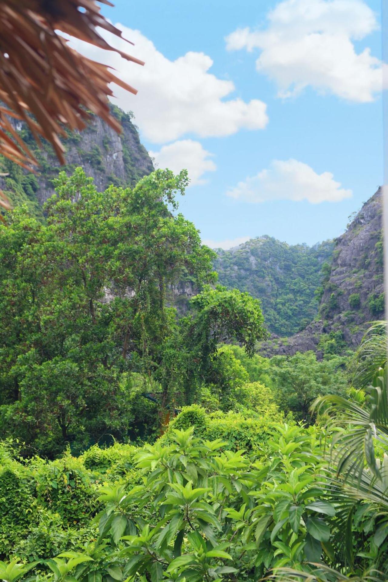 An's Eco Mountain Homestay