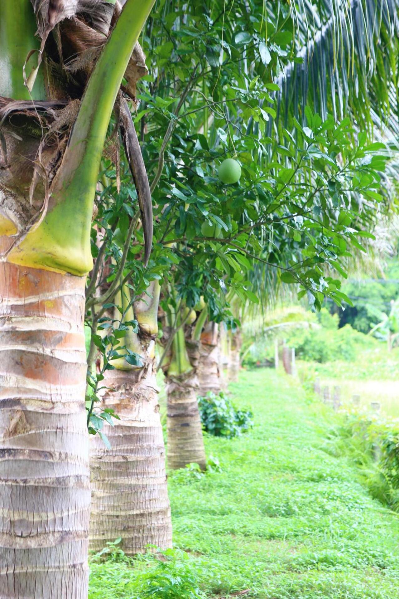 An's Eco Mountain Homestay