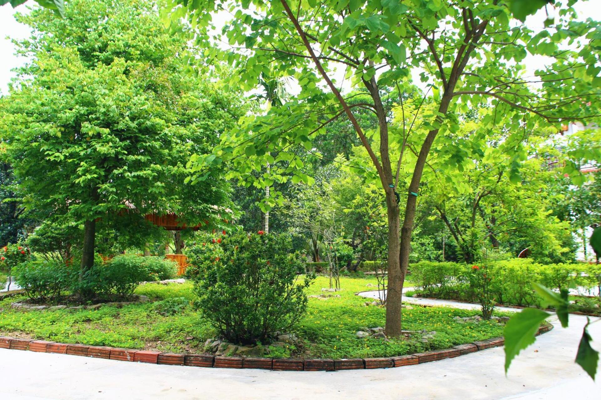 An's Eco Mountain Homestay